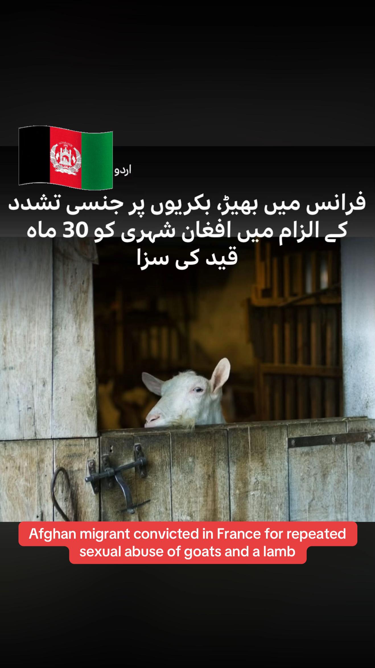 @Ashfaq CHAUDHARY
