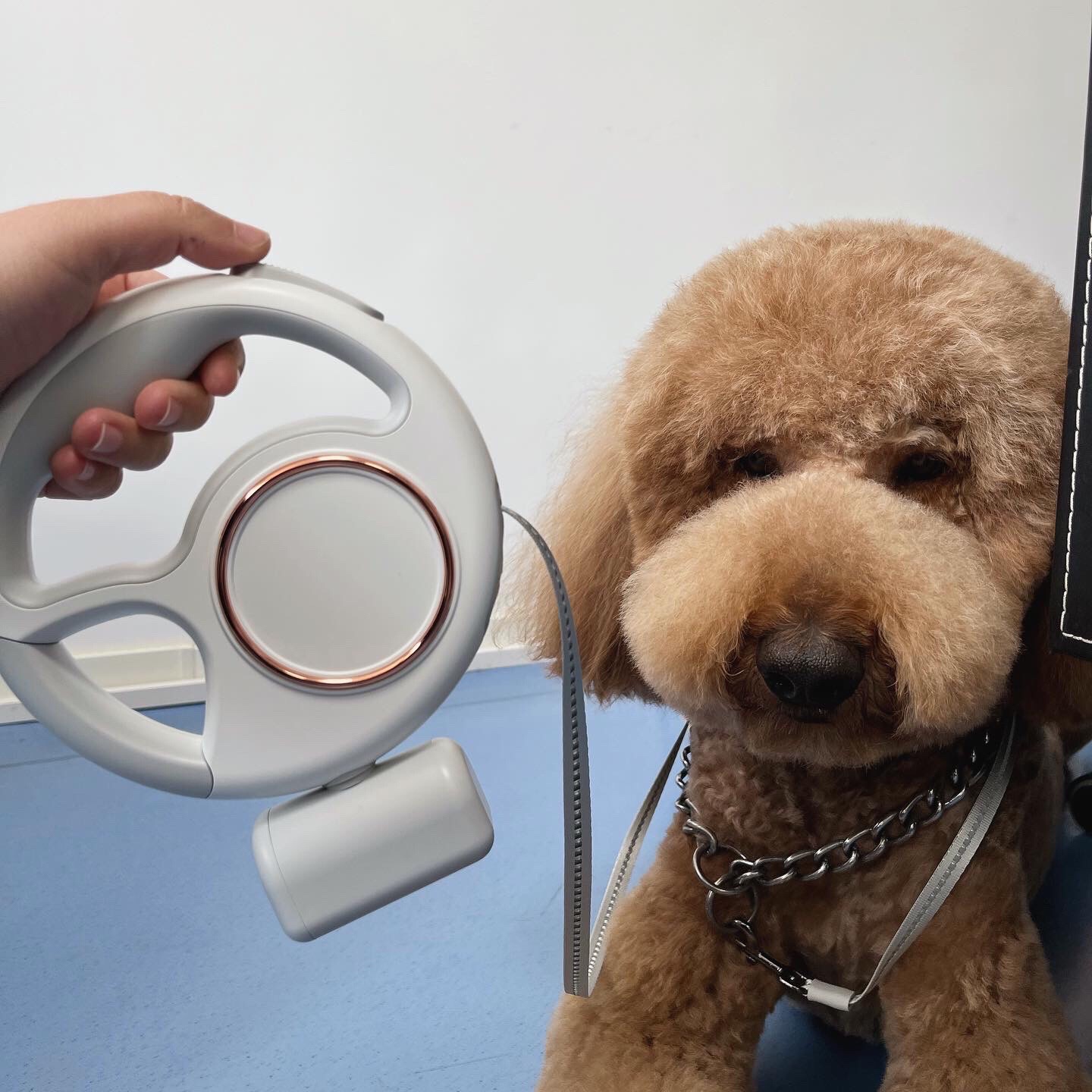 @doepetsupplies