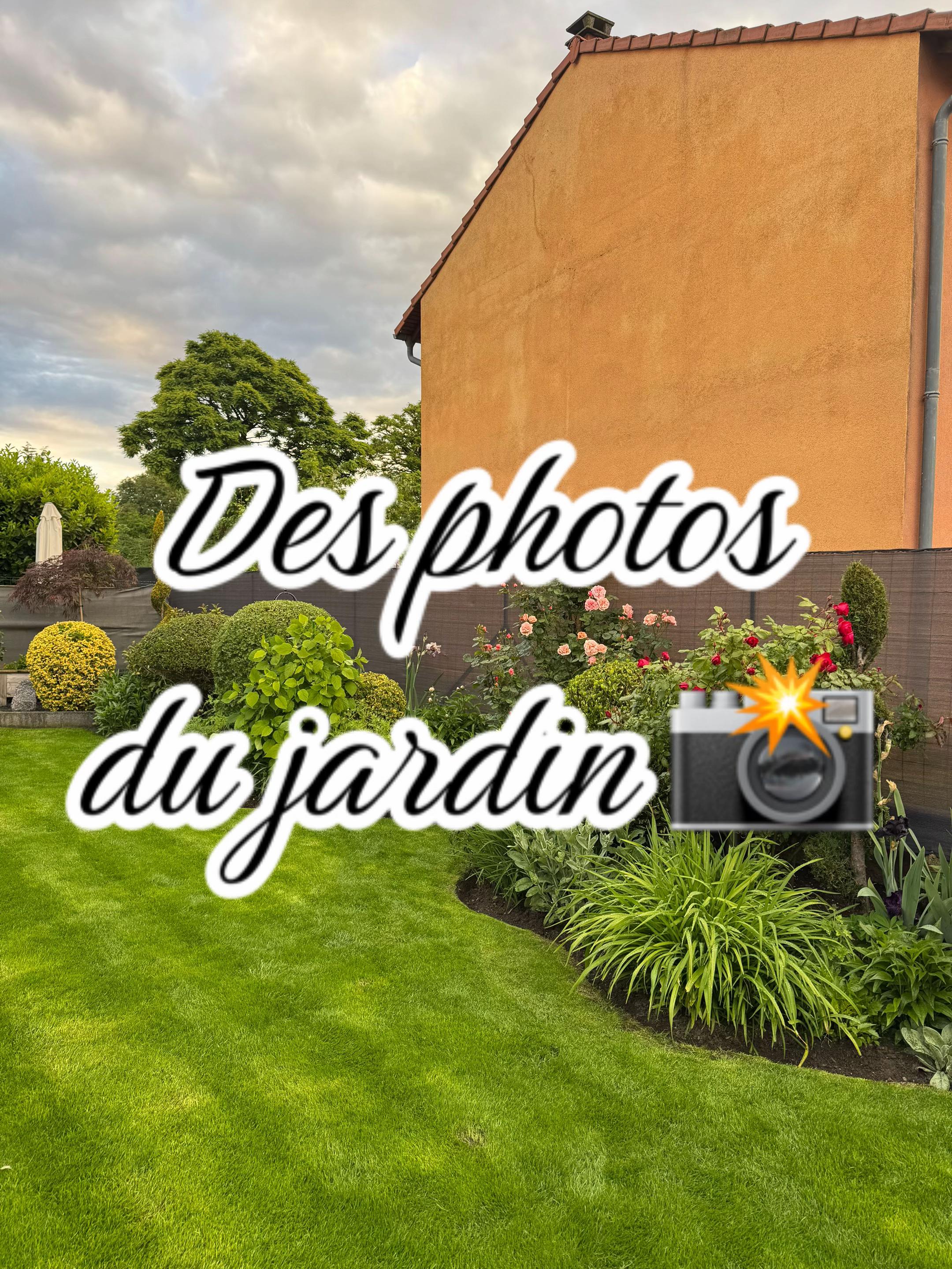 @Jardin de Rémi