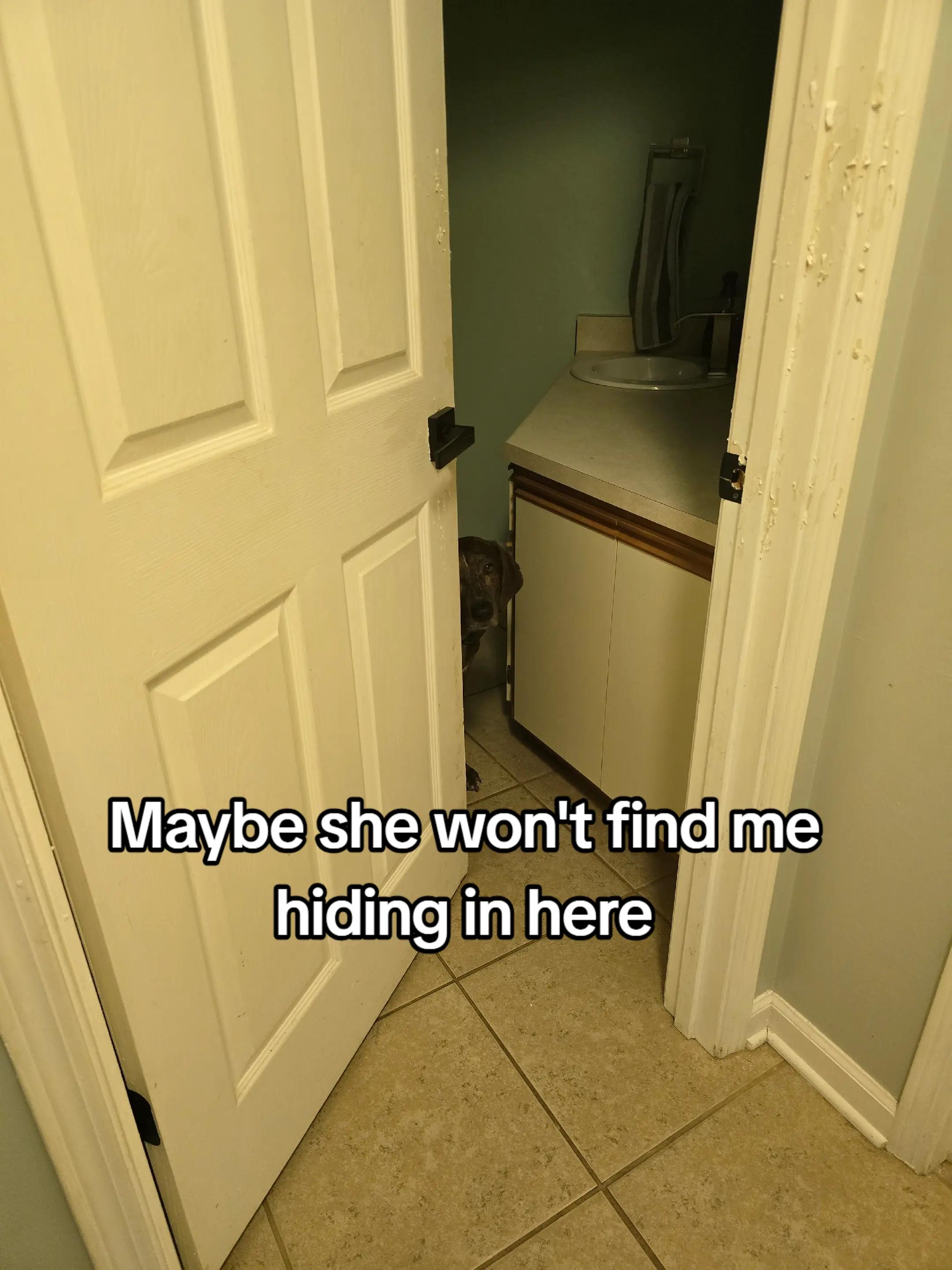 @shannonkough