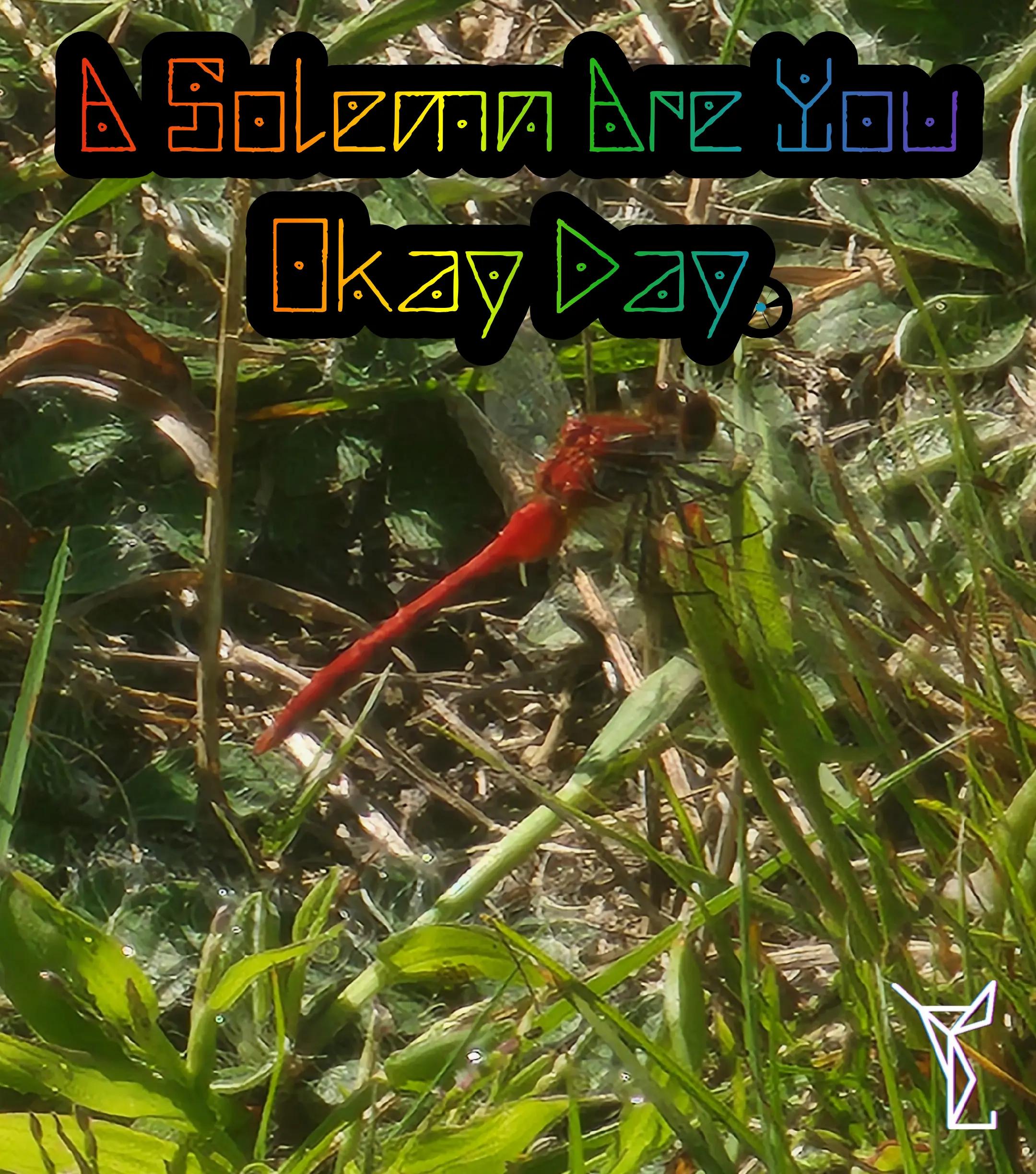 @Yabadaba_dyl