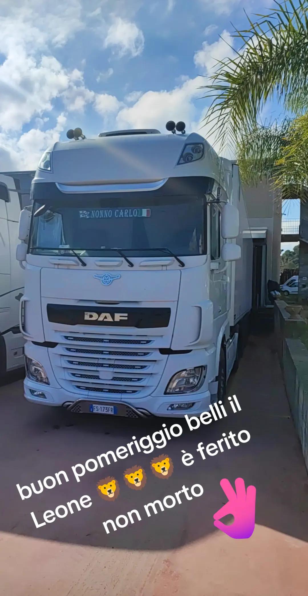 @cognato di regina
