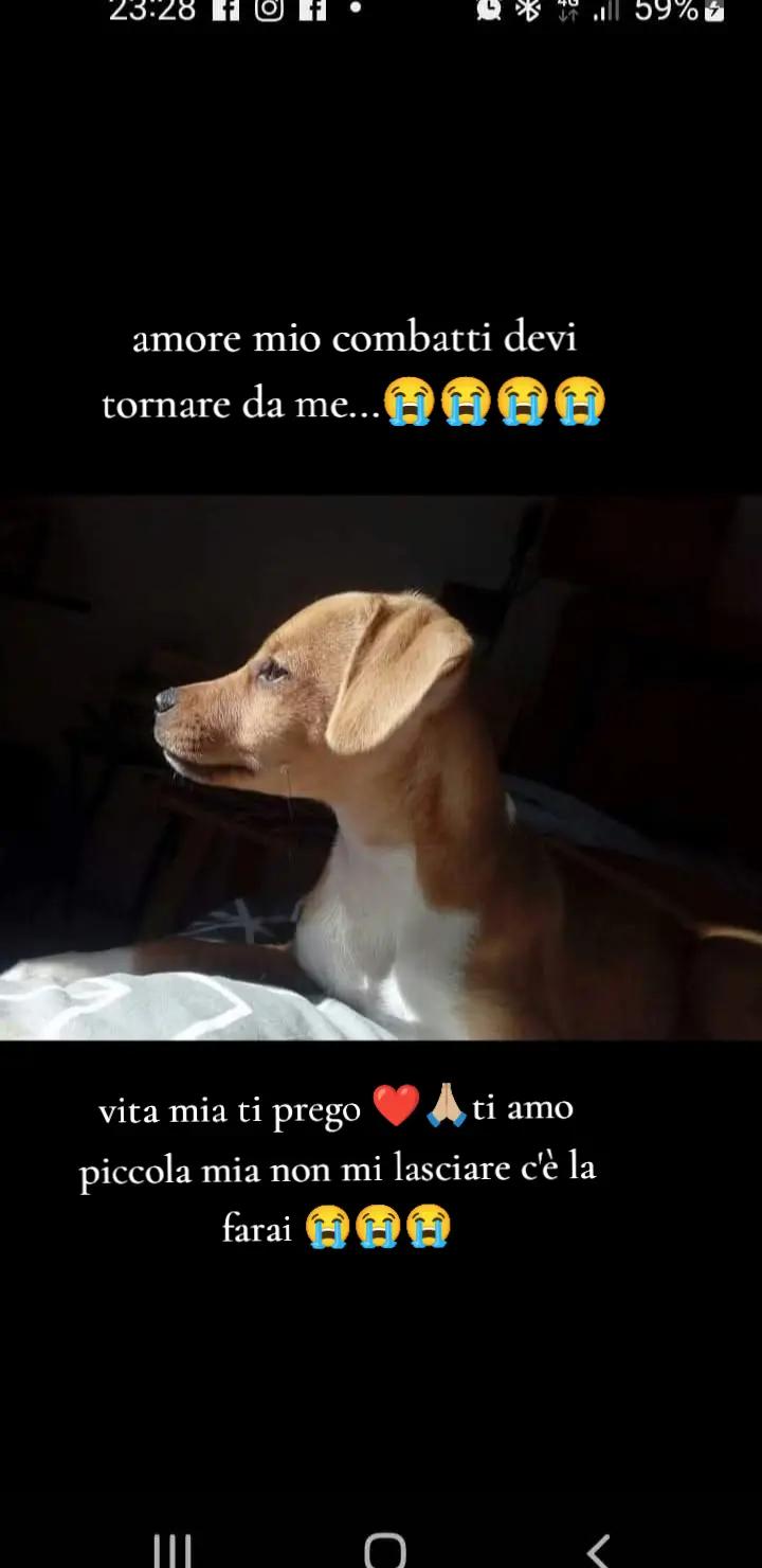 @Gabry💋