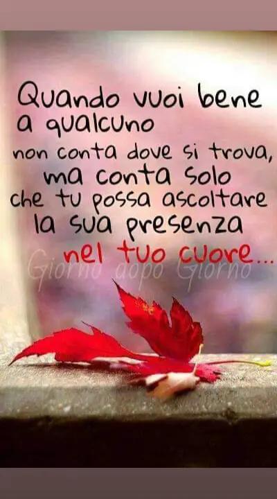@Rosy77 💙💙
