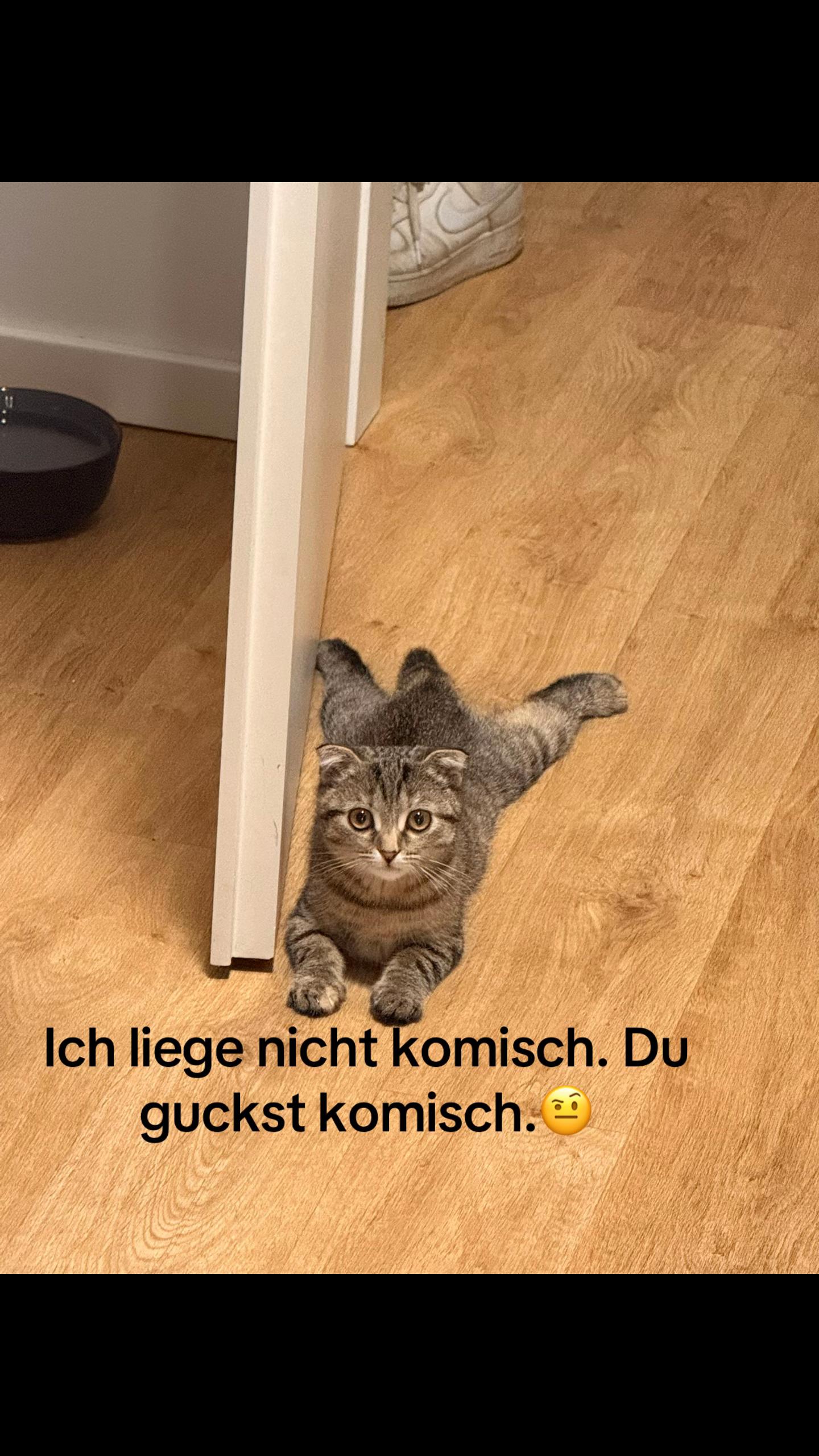 @Divaurteilt