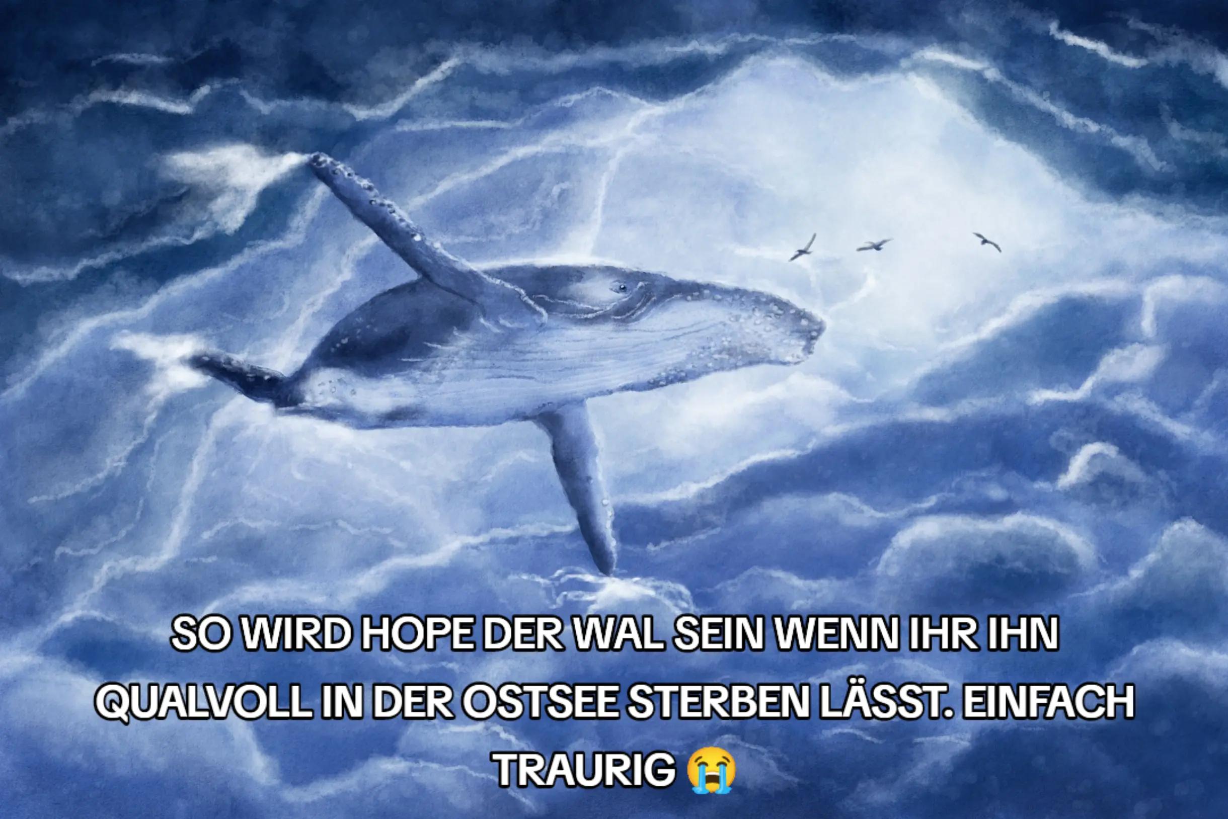 @Liebevoll44