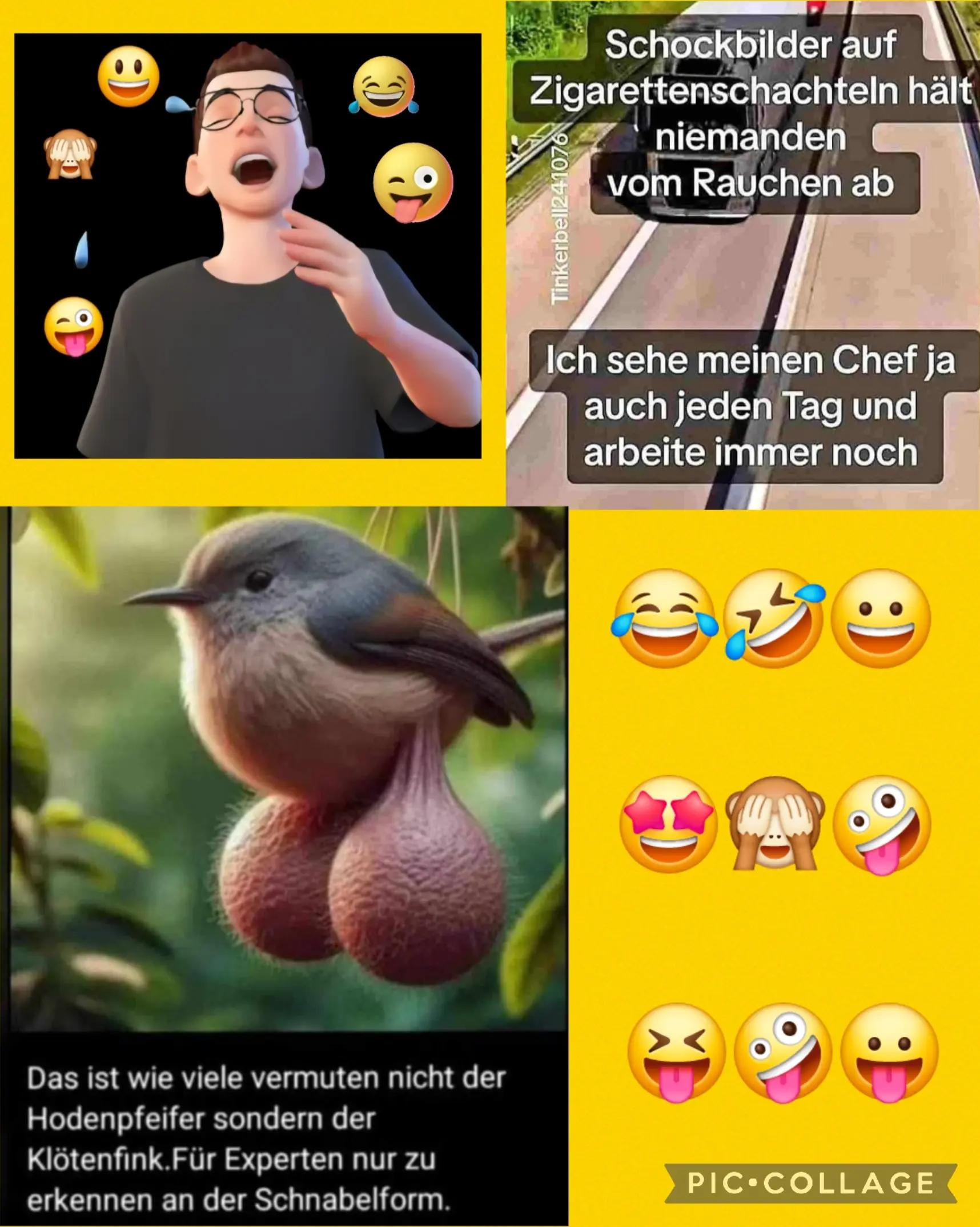 @ICH BIN EUER GUTE LAUNE MENSCH