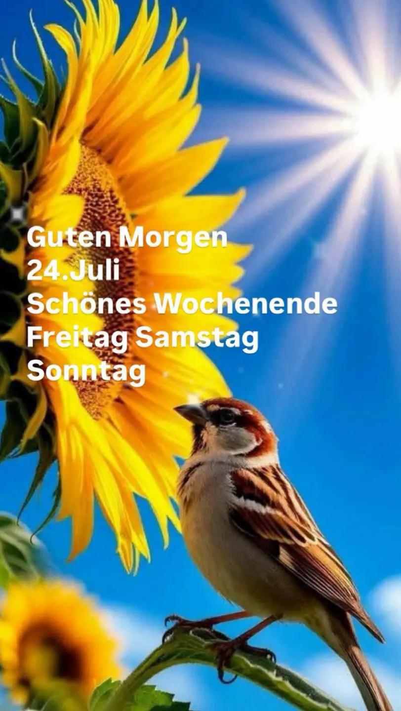 @Walburga Rankel