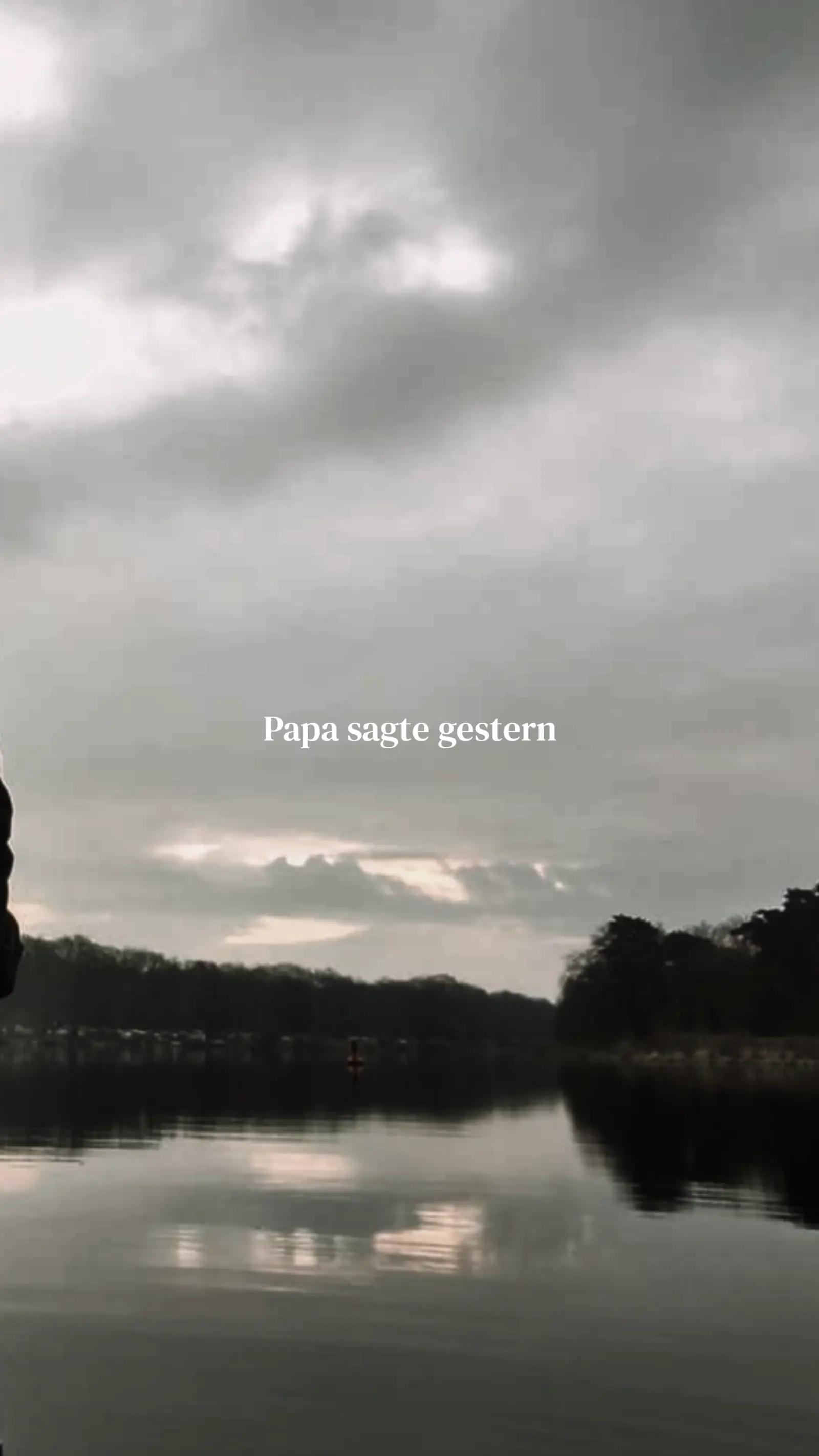@ναℓєяιє_ƒωєє