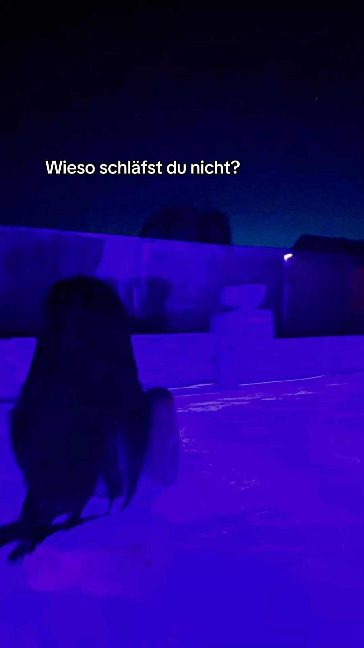 @ʂơ&weierp;ɧıą ✨🎀