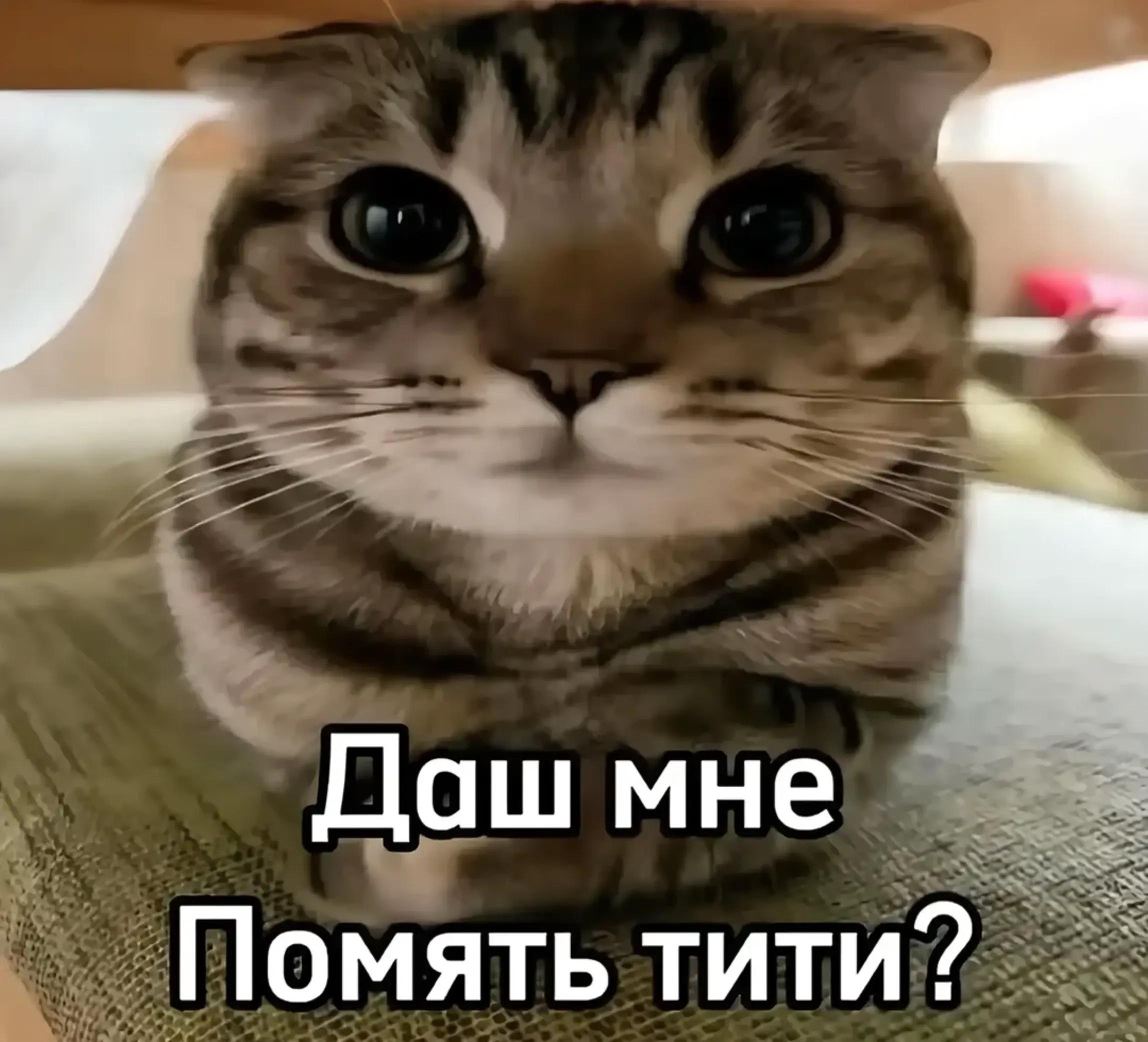 @xlebka