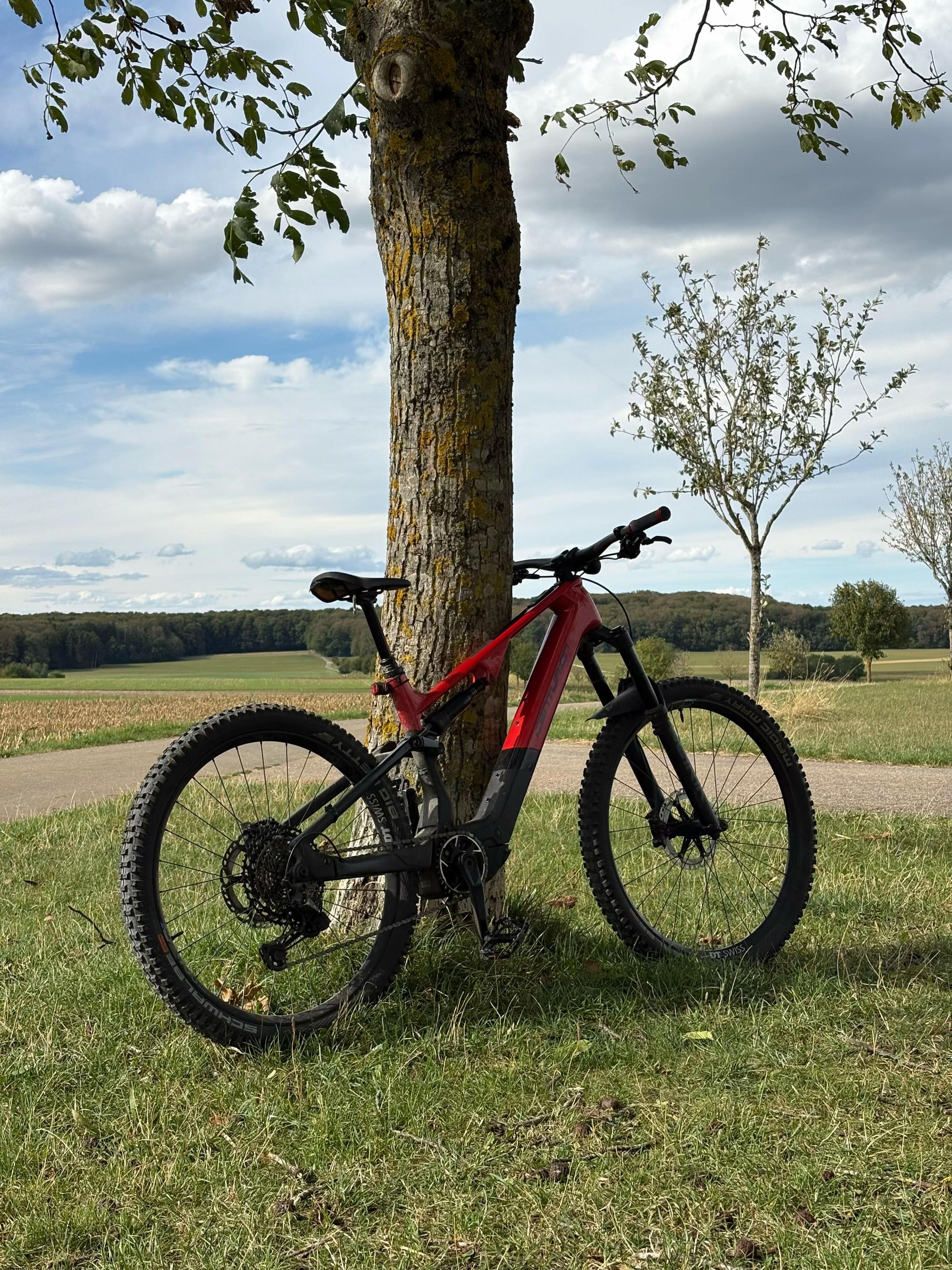 @Luca.mtb🇩🇪🦅✝️