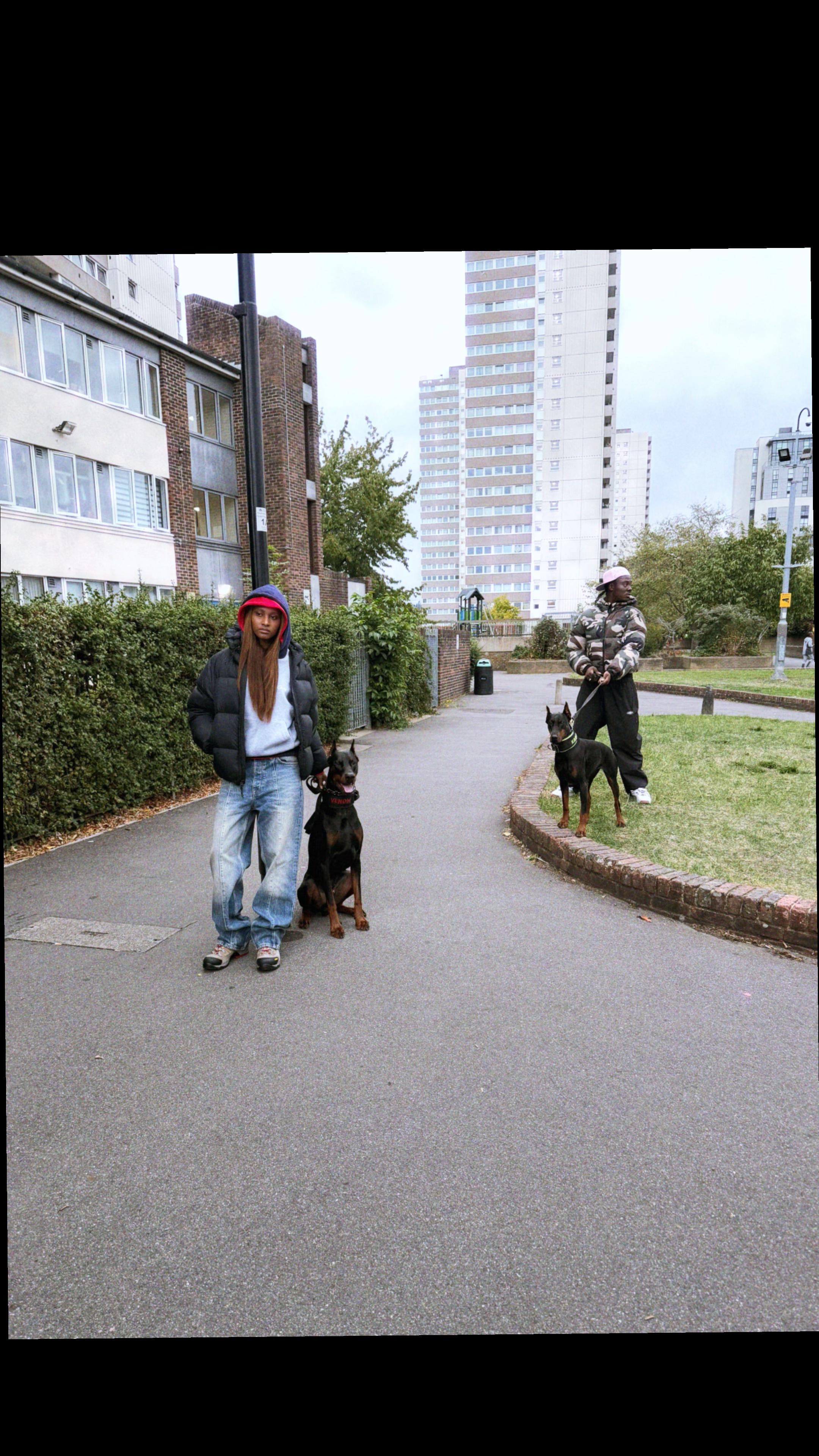 @protectiondobermanns