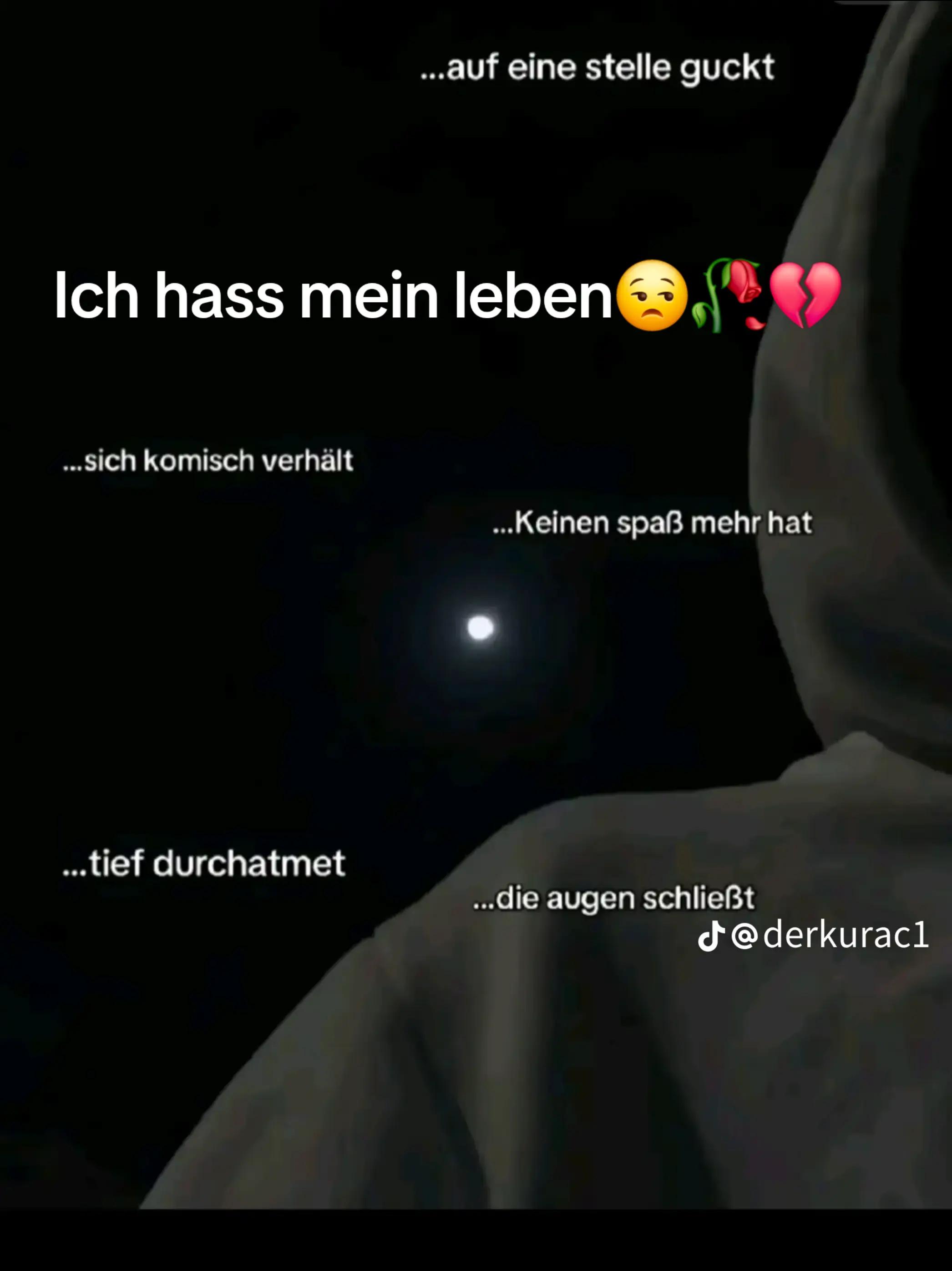 @卂զ𝘶𝓪 ʕ•ᴥ•ʔ