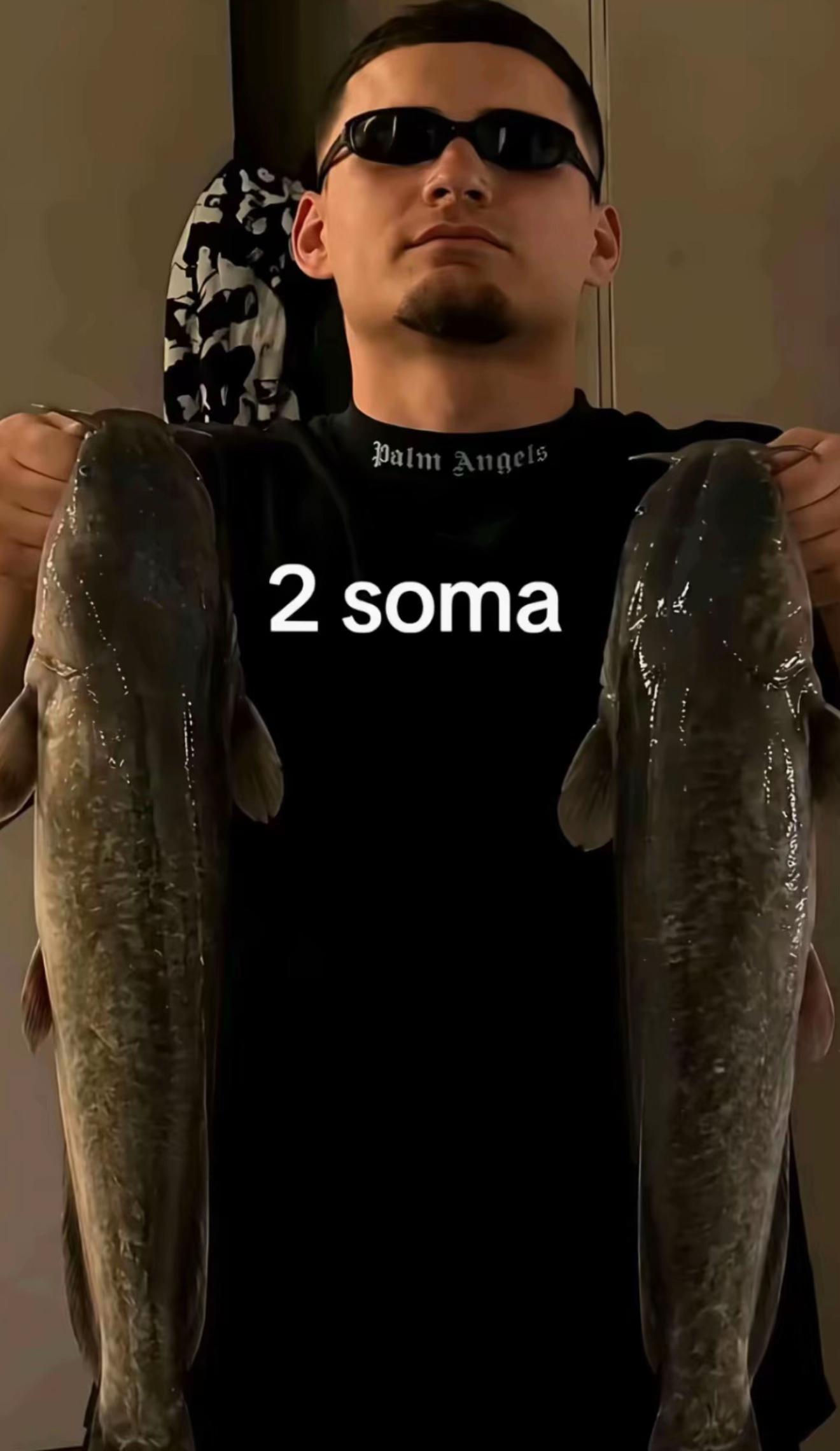 @Maras Kralj