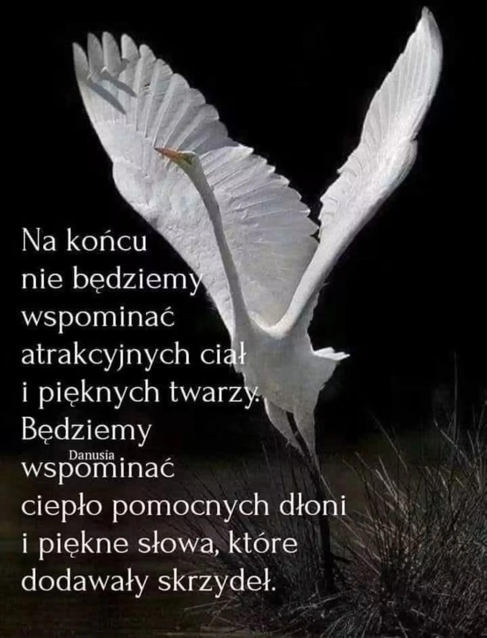 @Katarzyna