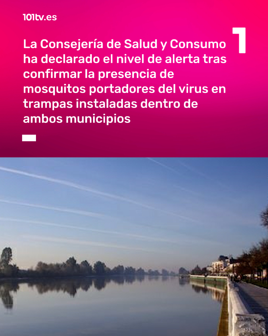 @101tv.es Sevilla