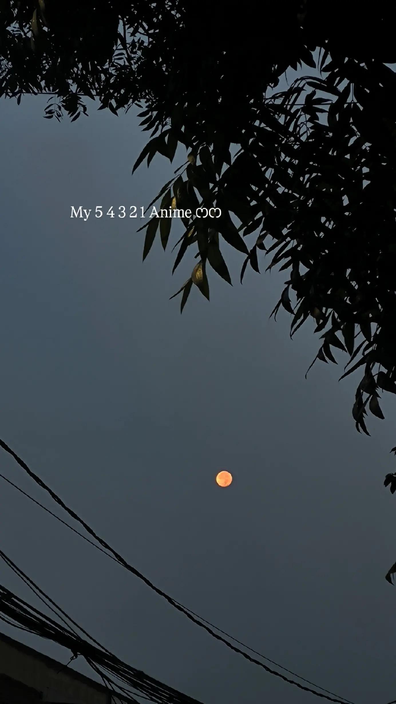 @Aobi
