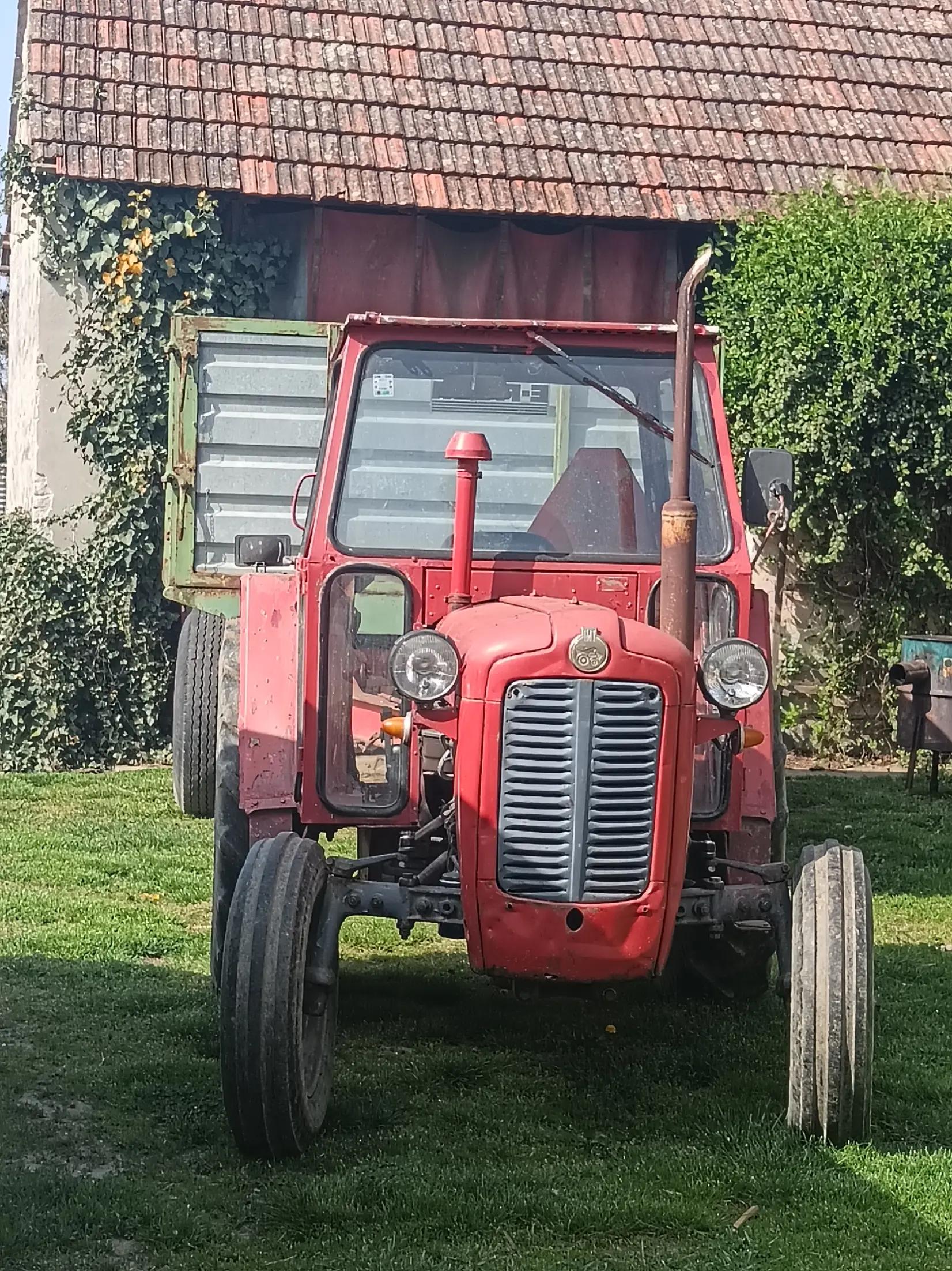 @IMT farm