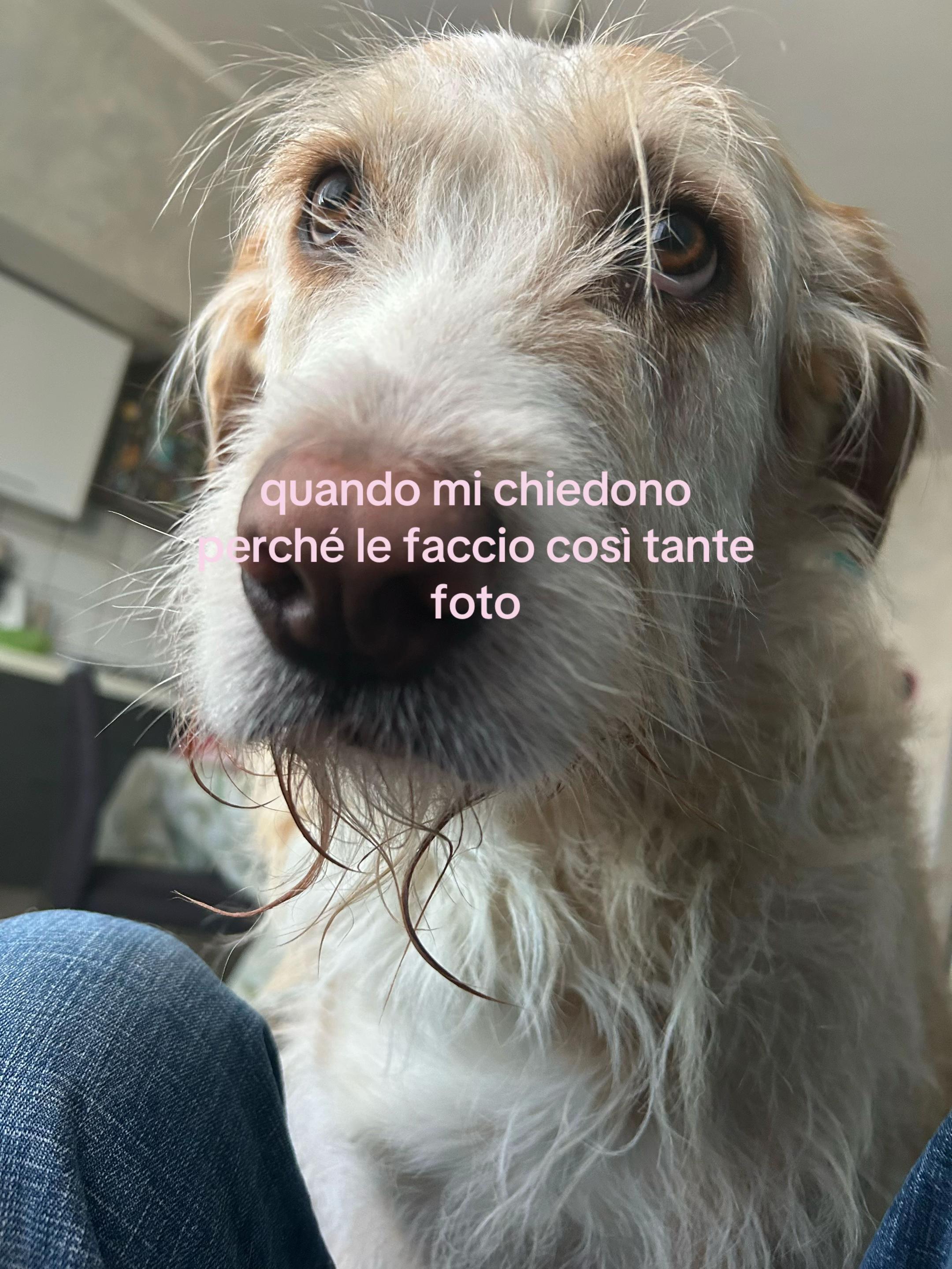 @ghostgirl
