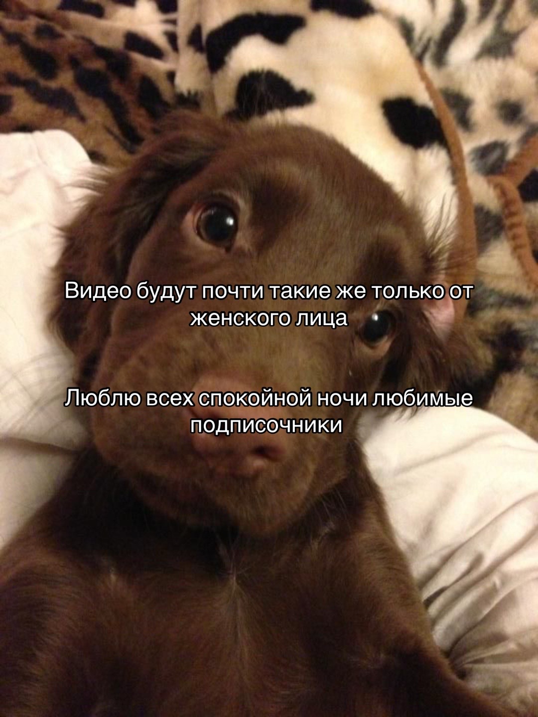 @Забытая