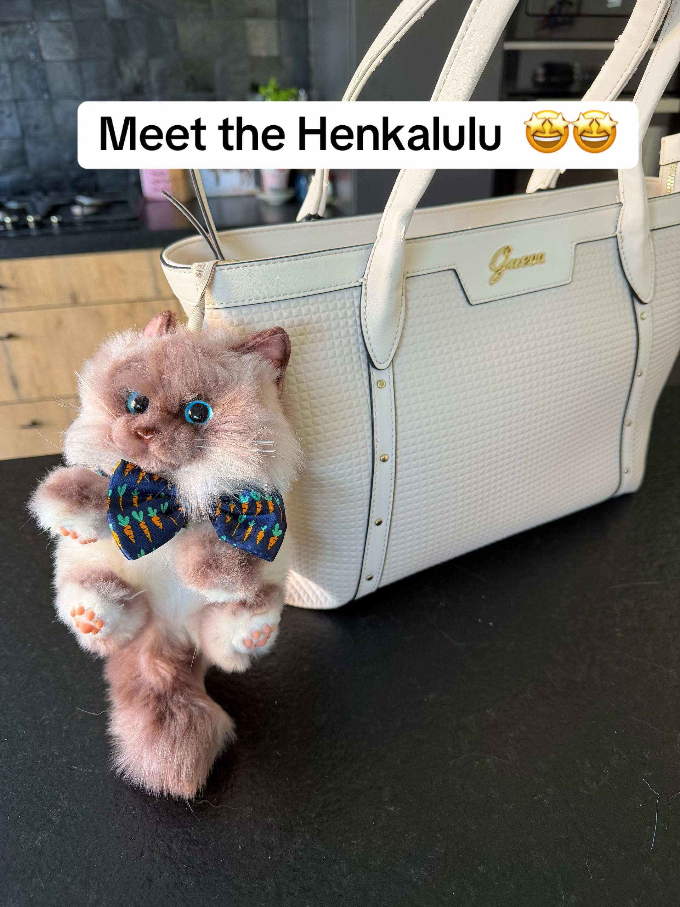 @Henk&Ollie 😺
