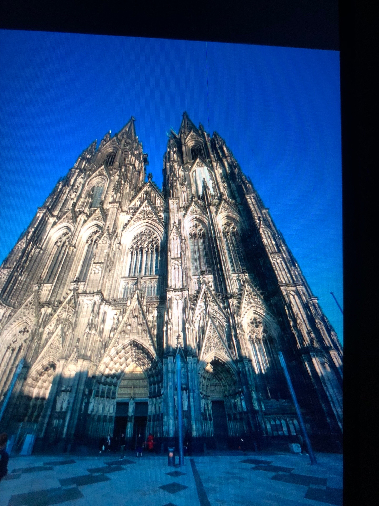 @Stefani Strauss
