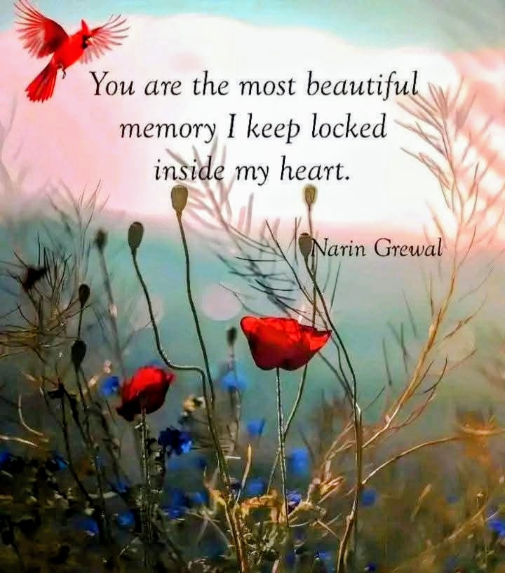 @DragonfliesAndSunflowers68