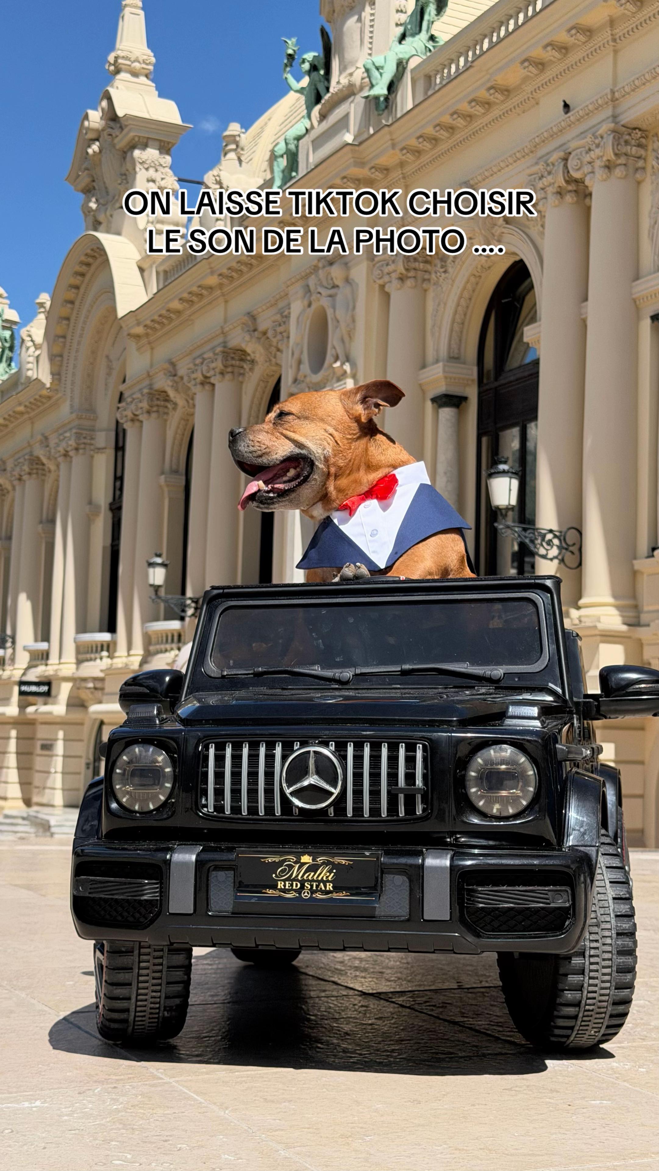 @🐾 Malki Red Star 🐾