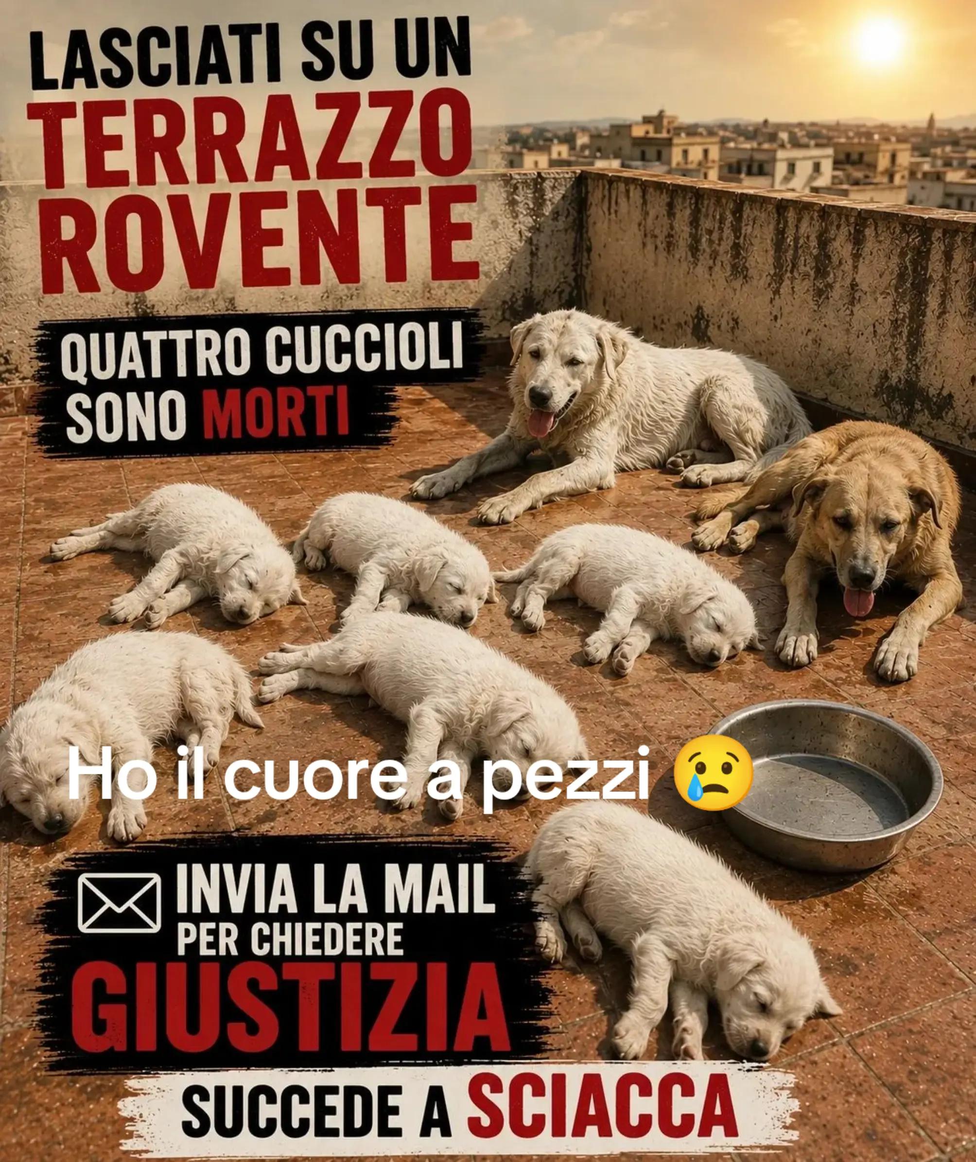 @GLI Sgomberi DI Monica paderi