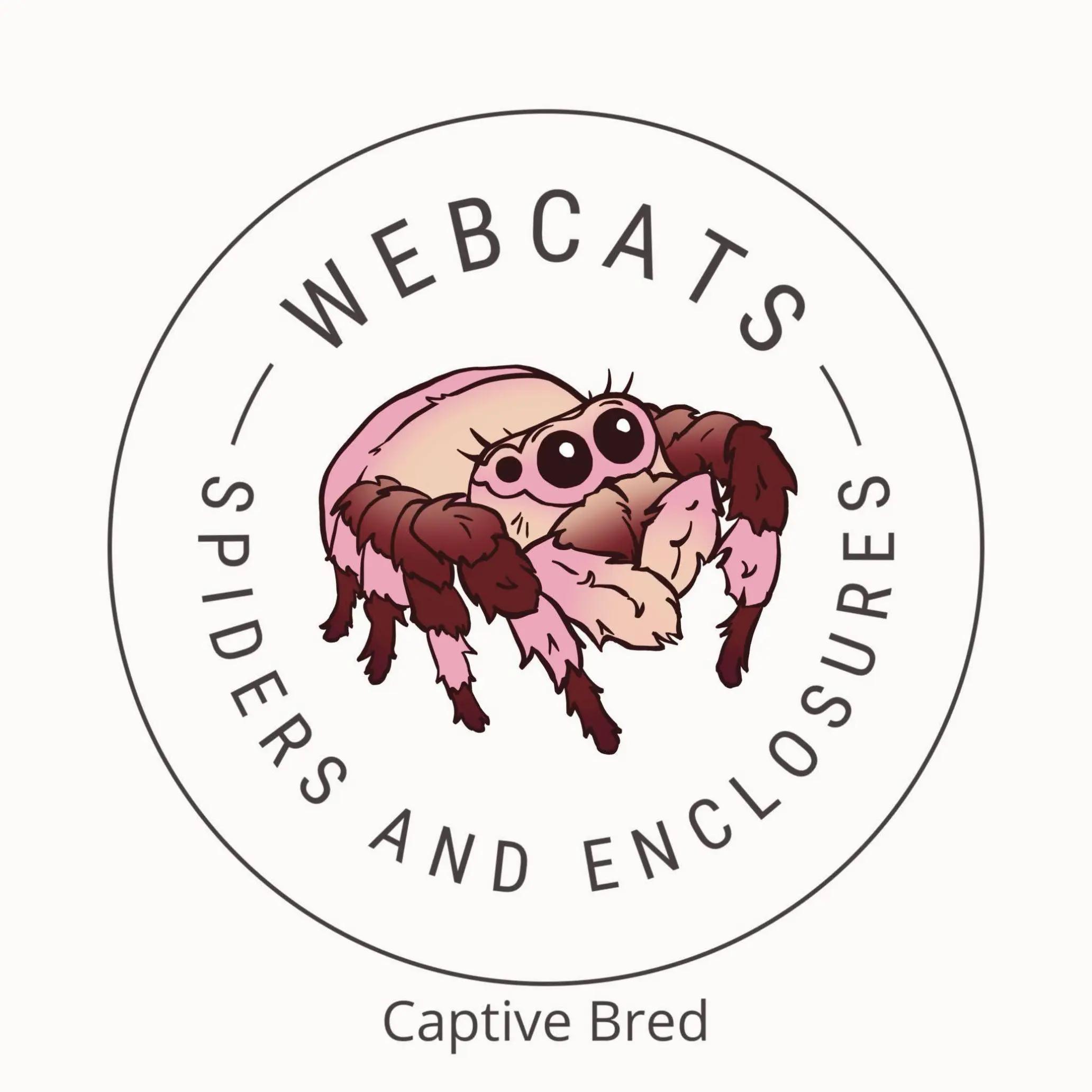 @Webcats