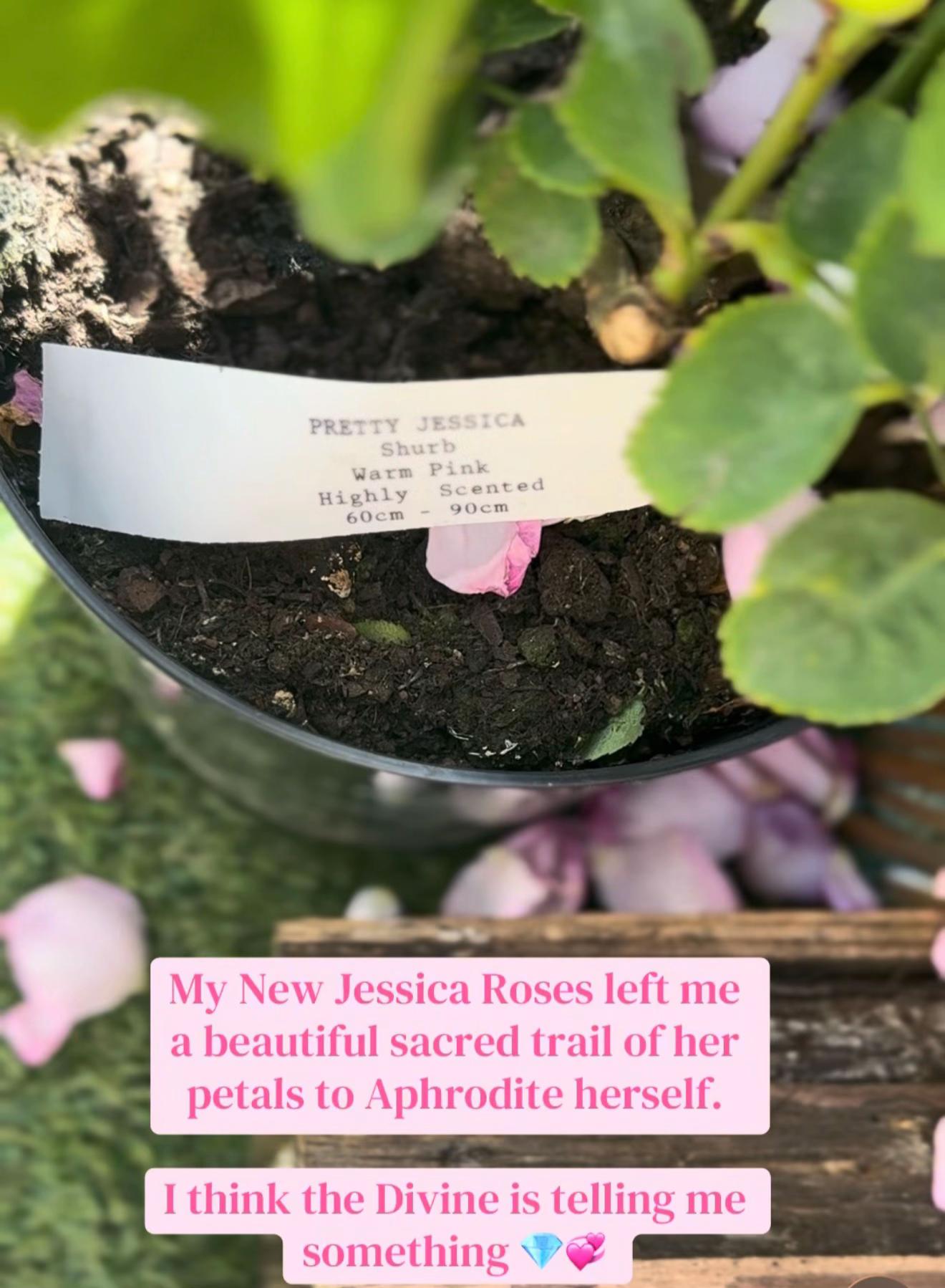 @JessWriterOfTheSacred
