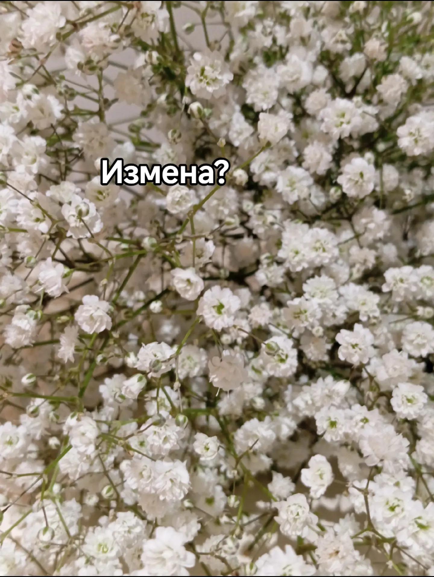 @_love:secrets_