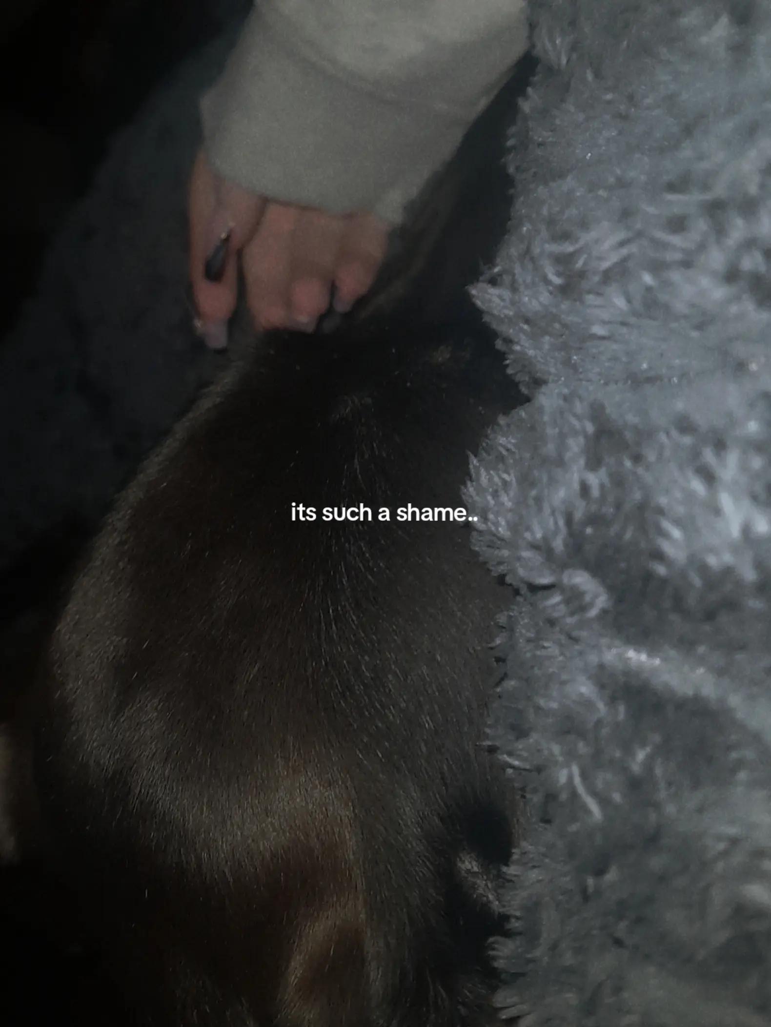 @𝑼𝑠𝒆𝑙𝒆𝑠𝒔 𓆩♡𓆪