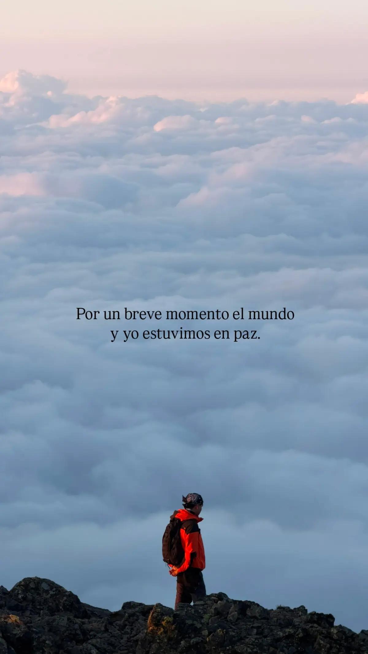 @Alan Garnica 🐻