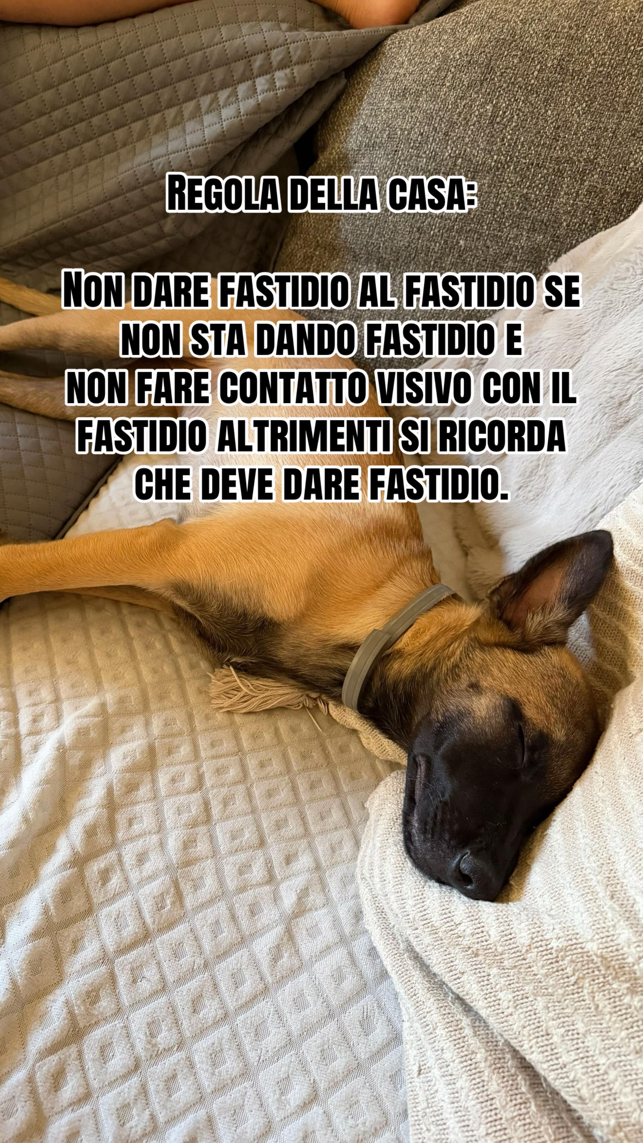 @Elena Sarcinella