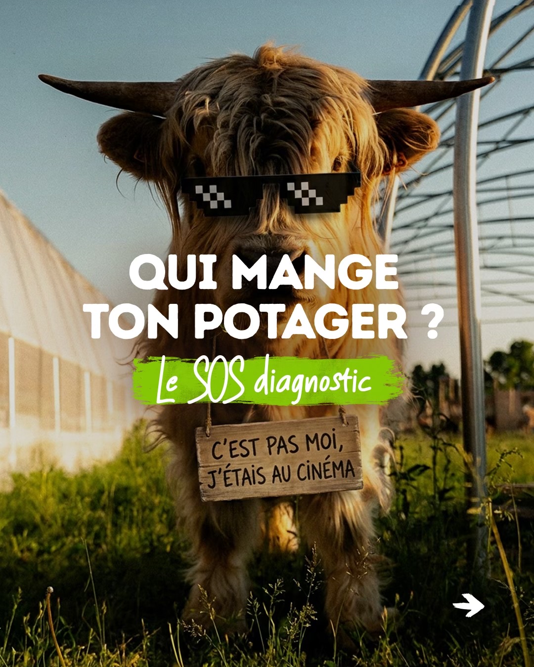@Goran Le Permaculteur