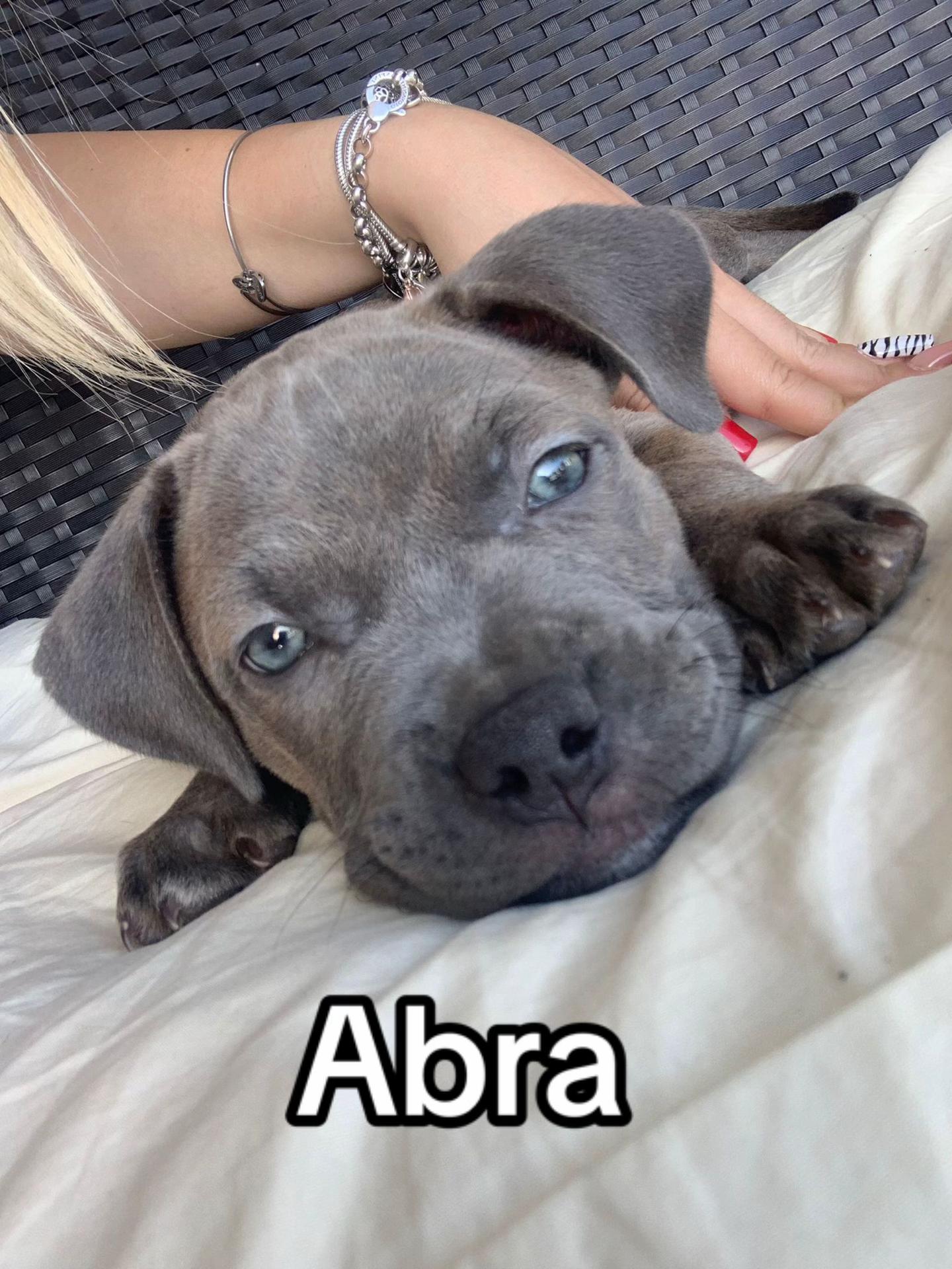 @Faby&Kira🐶❤️👩🏼