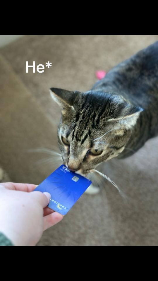 @Okami