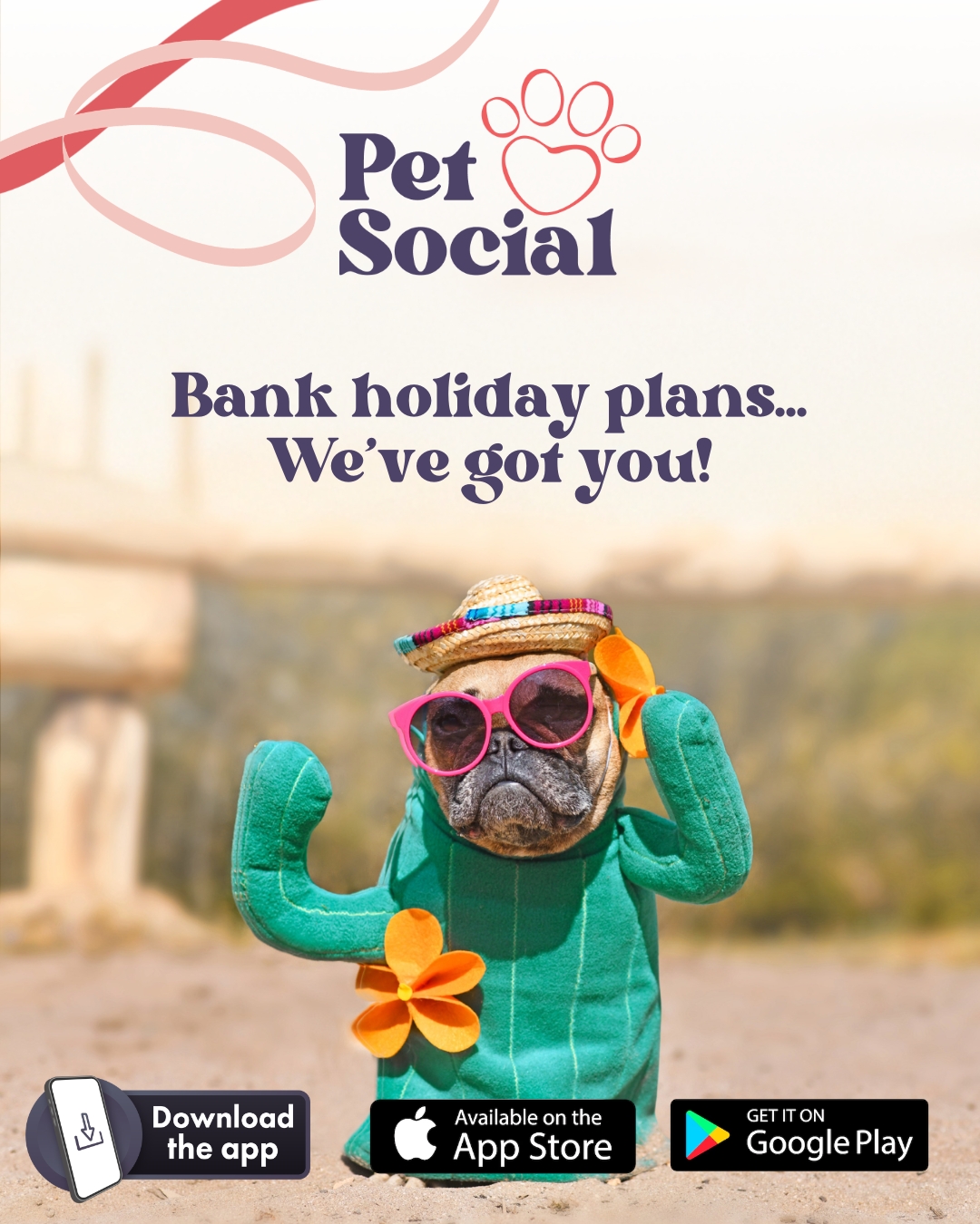 @Pet Social UK