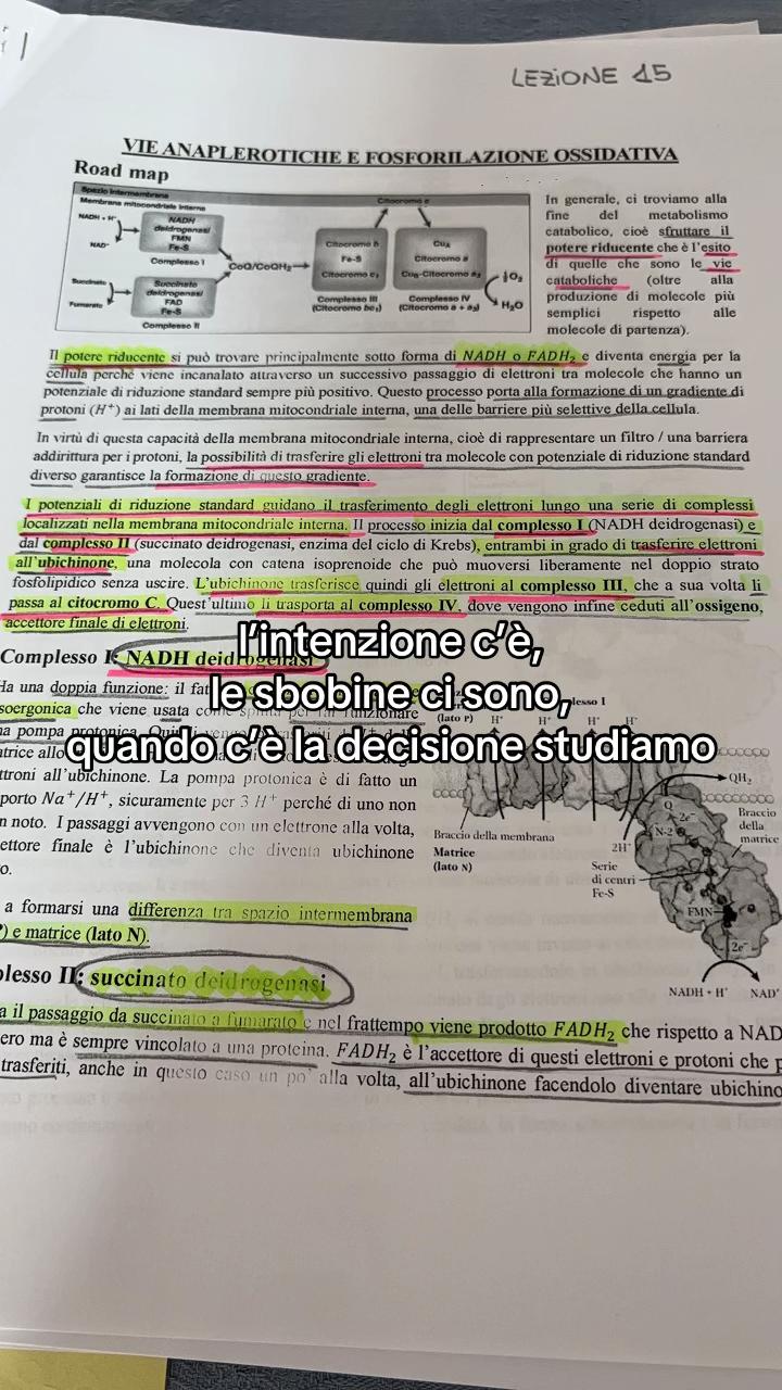 @fuorisede104