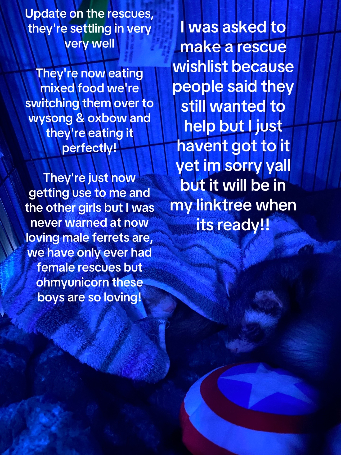 @⋆ ray ⋆