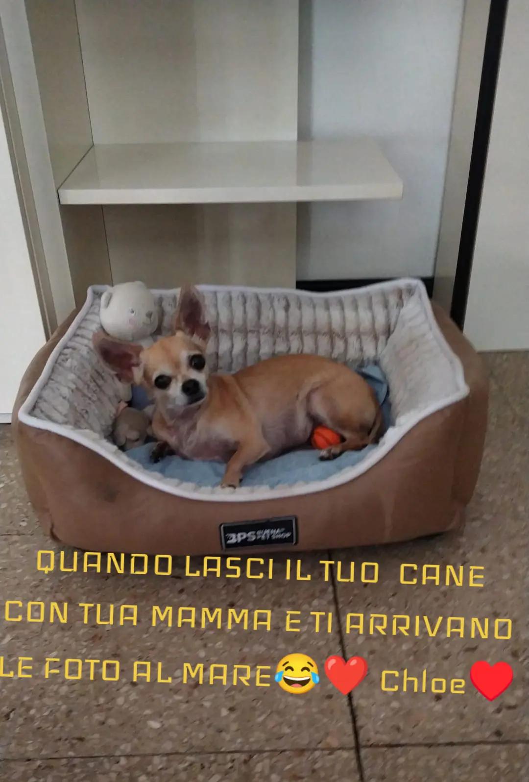 @deborahsharon