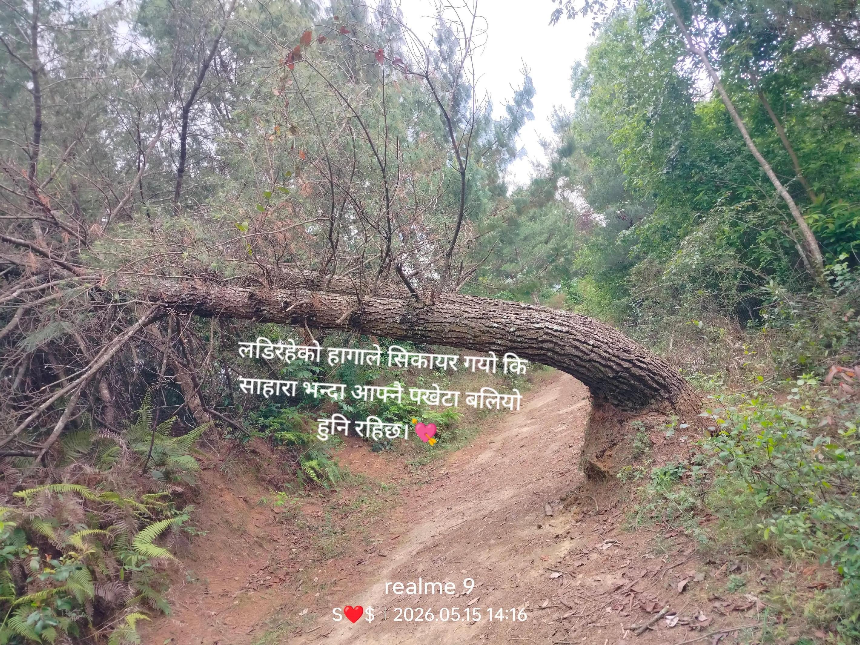 @Shiva GC569.