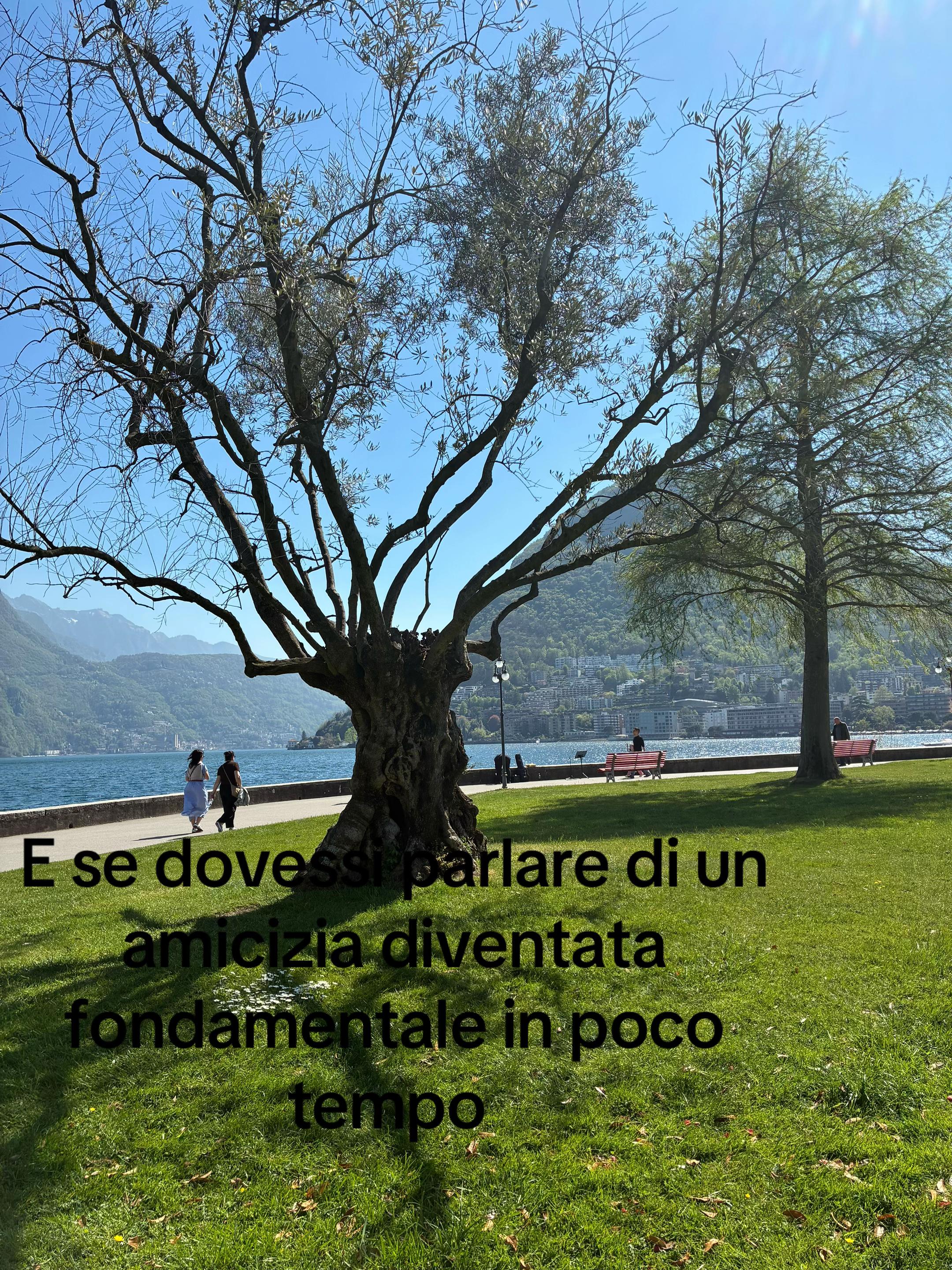 @accauntsfogo97