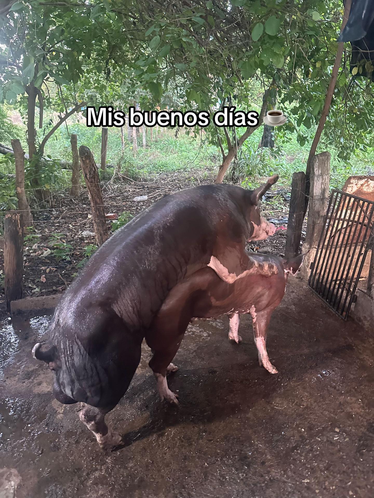 @Miguel Carrasquero