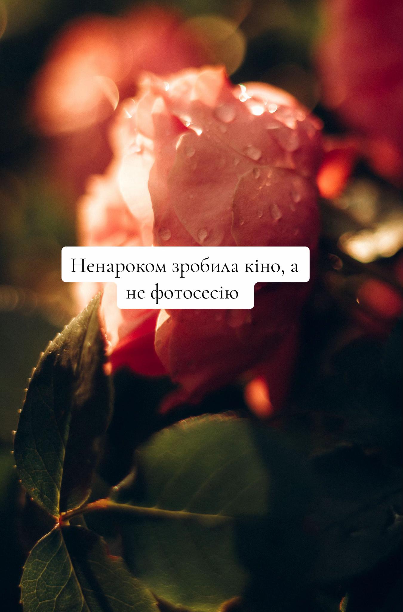 @zolota.photo