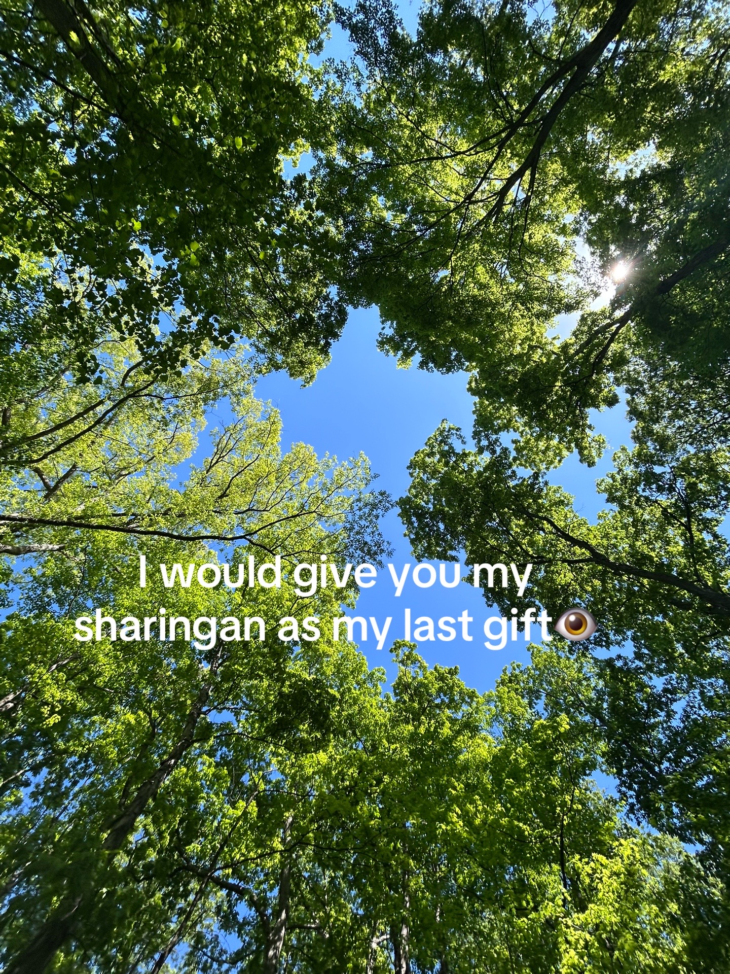 @It’s_jimmy🔥