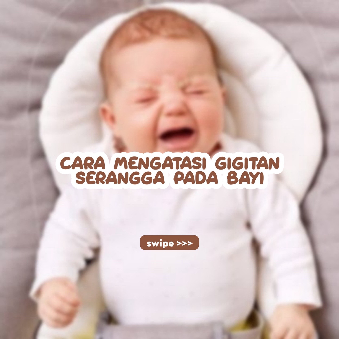 @CEOBAHANMPASI