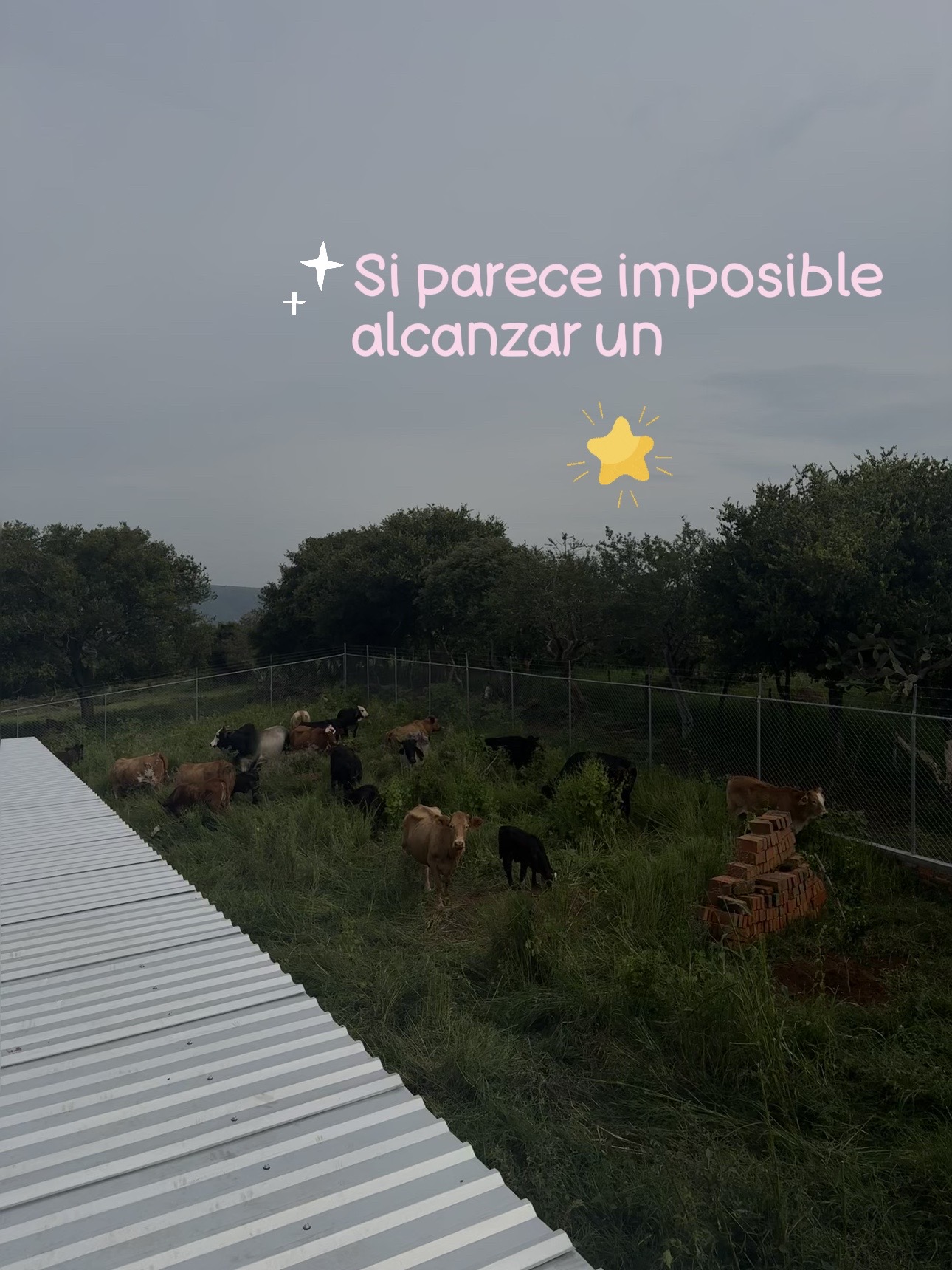 @N✰